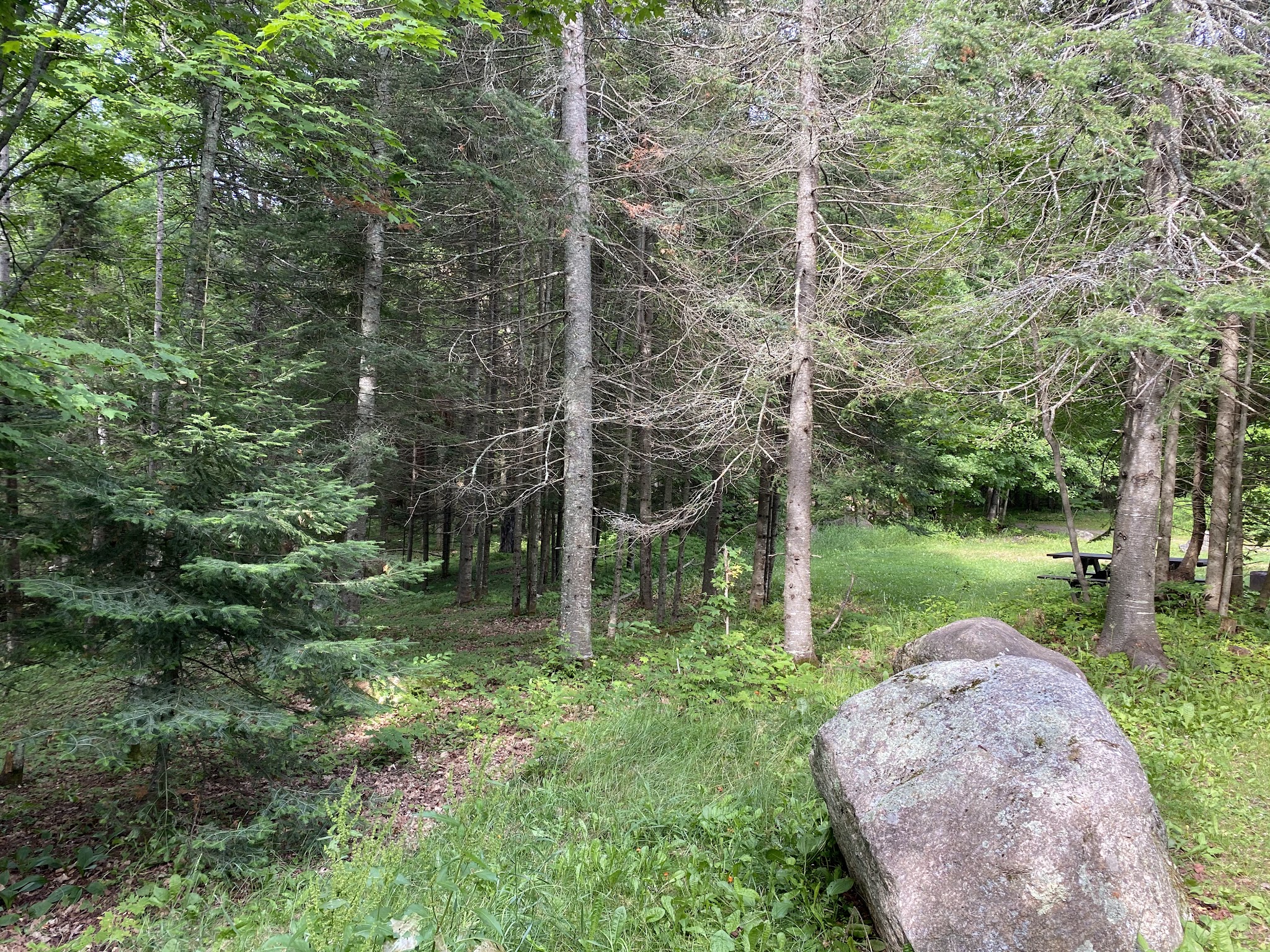 Ski-Kwe Zaag’Igan State Forest Campground