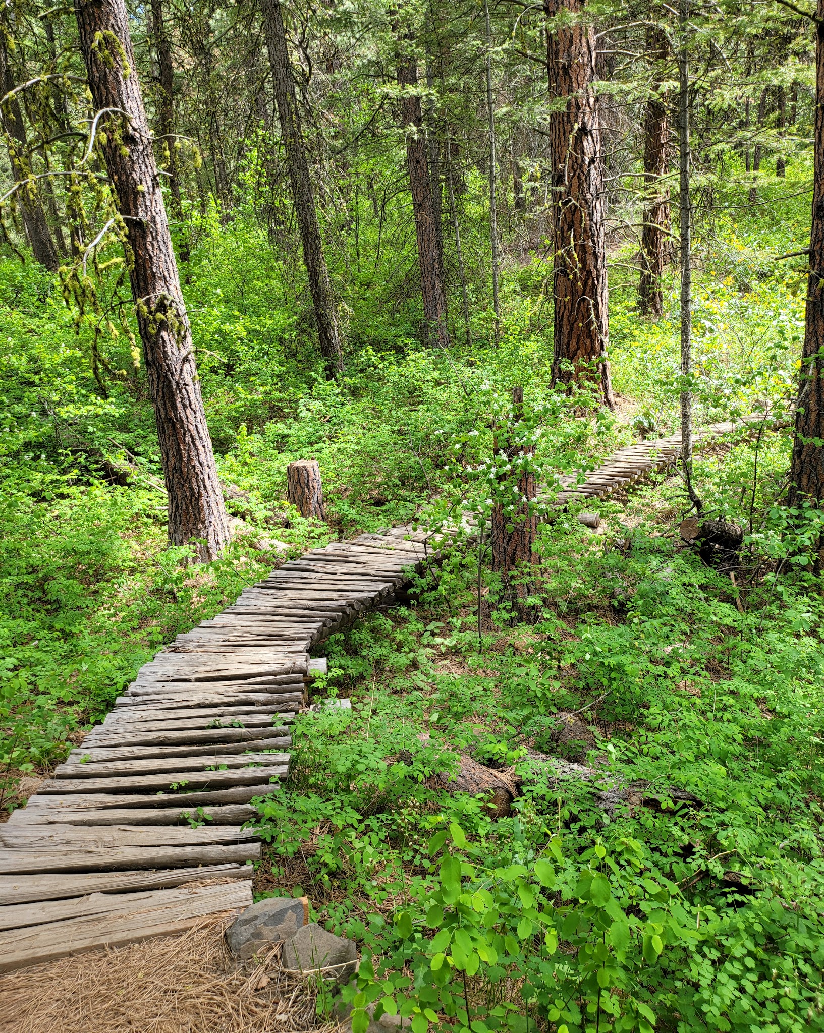 Squilchuck State Park