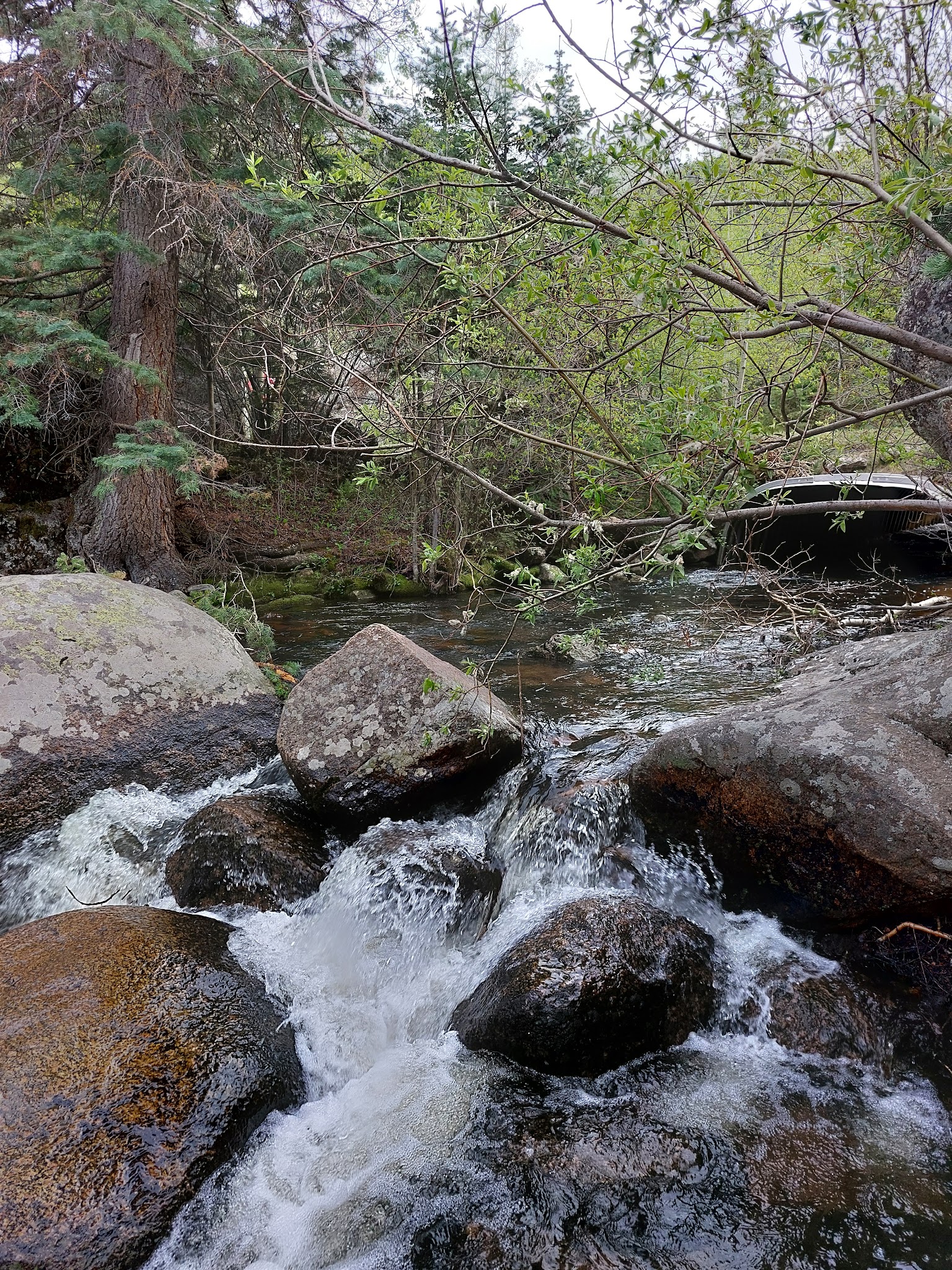 St Charles Campground - Lake Isabel
