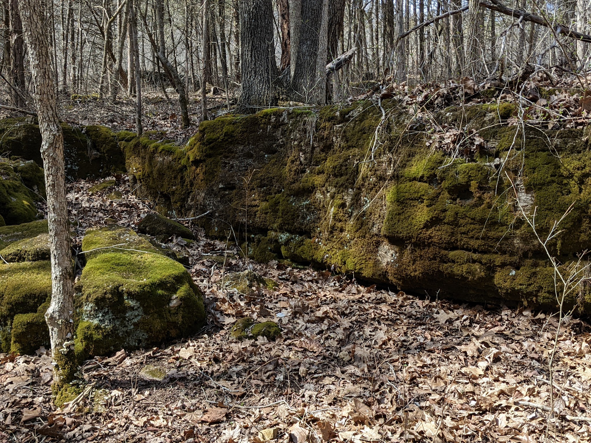 St. Francois State Park Campground