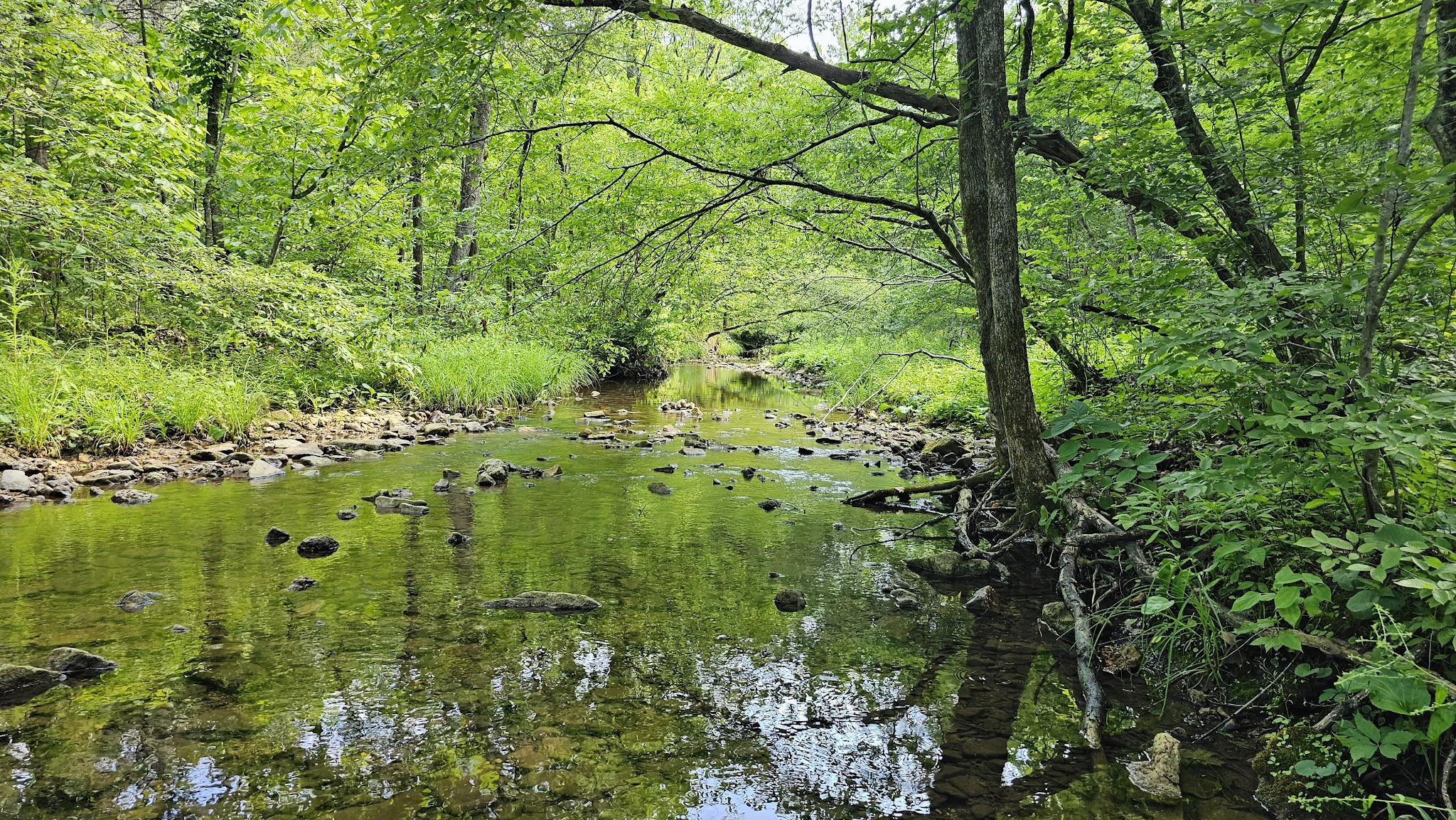 Special Use Campground