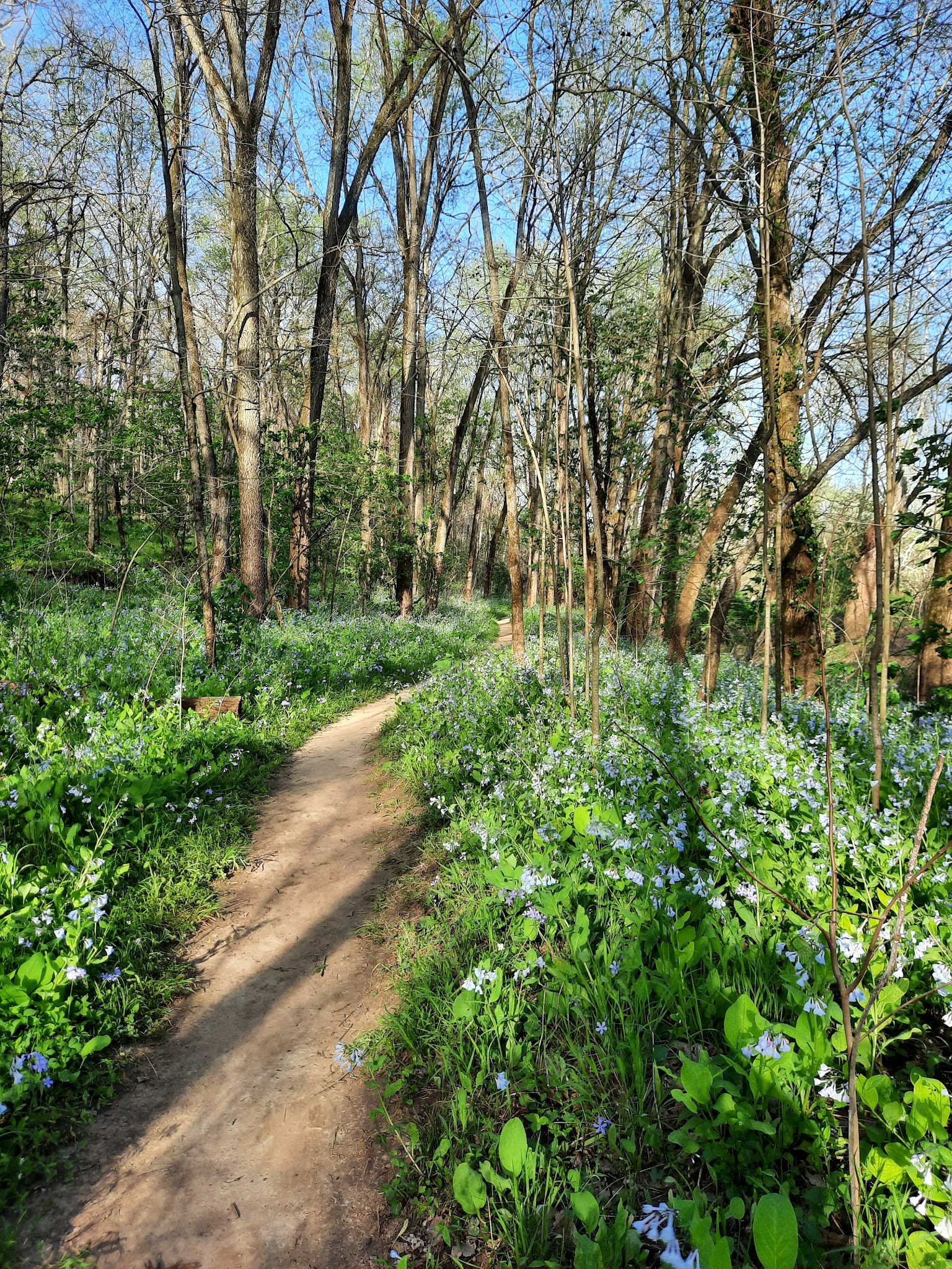 St. Francois State Park Campground
