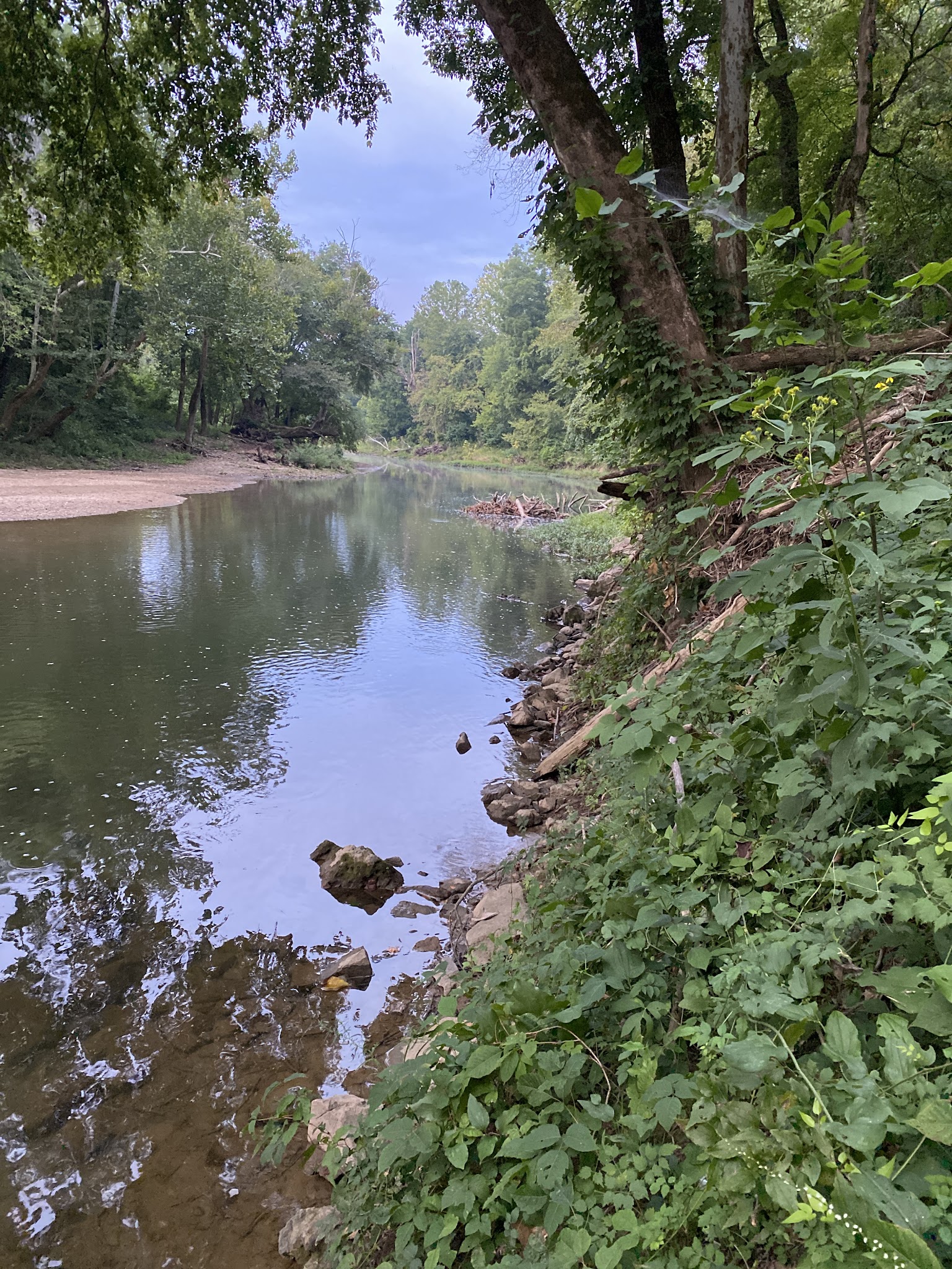 St. Francois State Park Campground