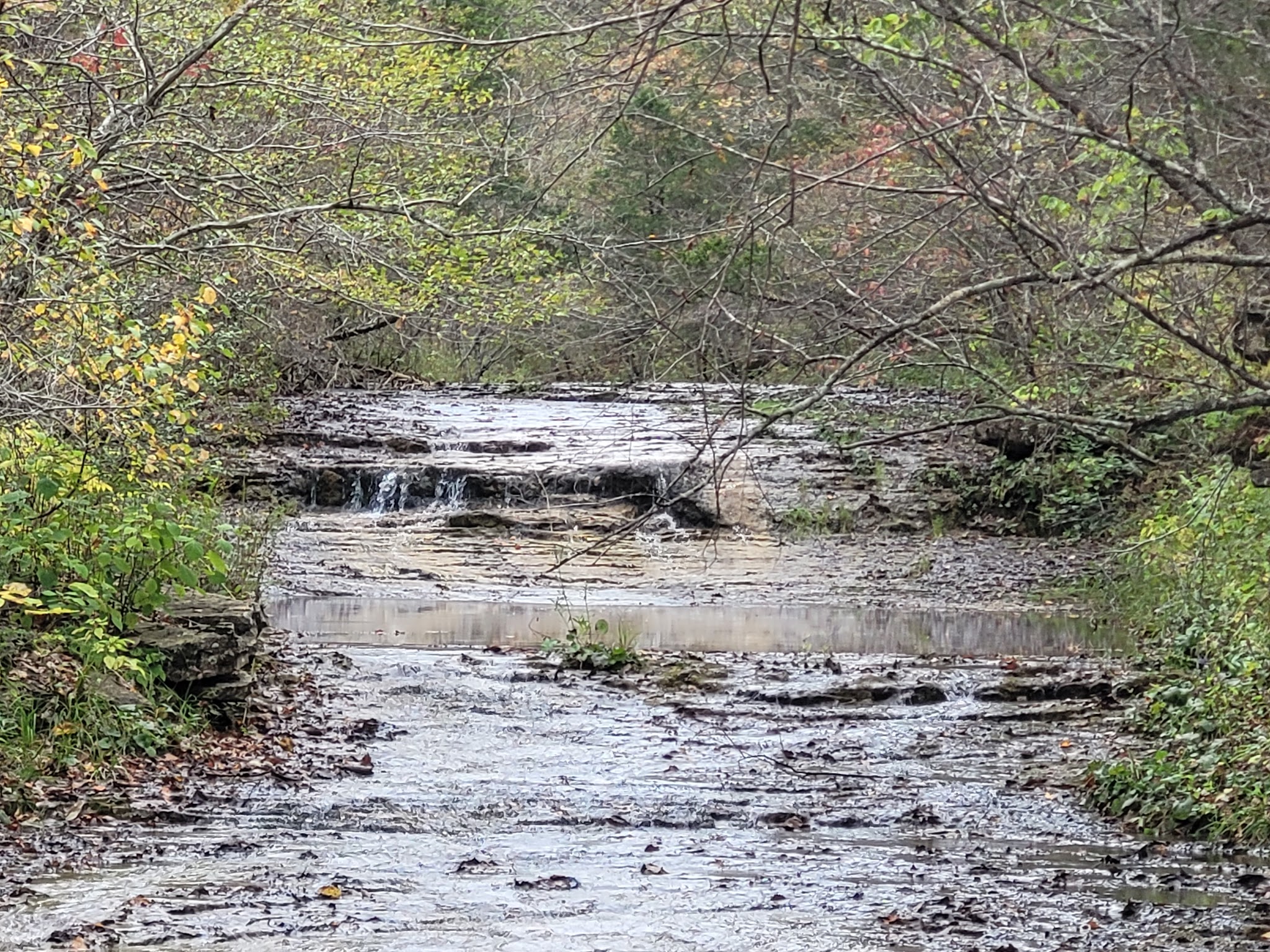 St. Francois State Park Campground