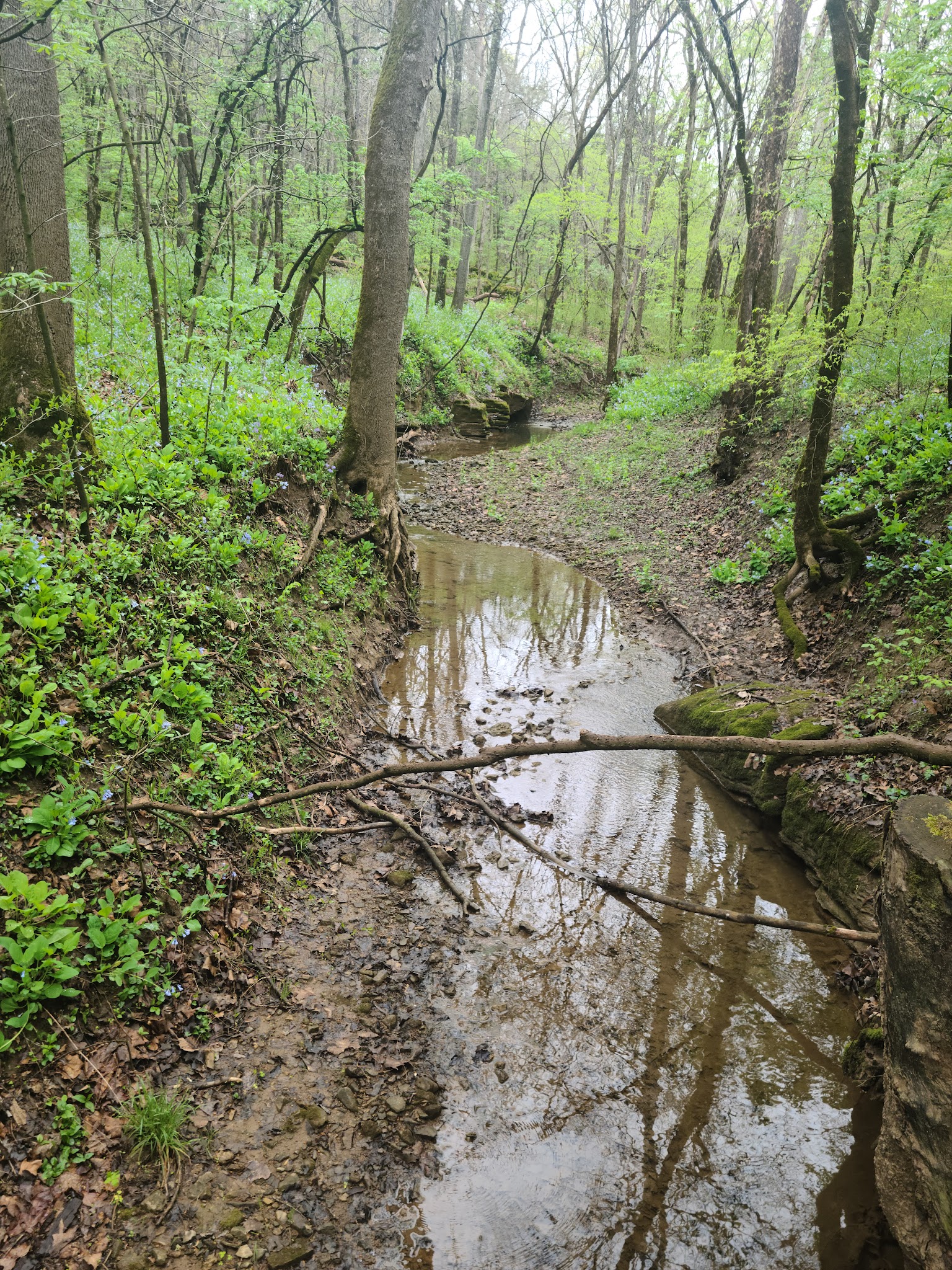 St. Francois State Park Campground