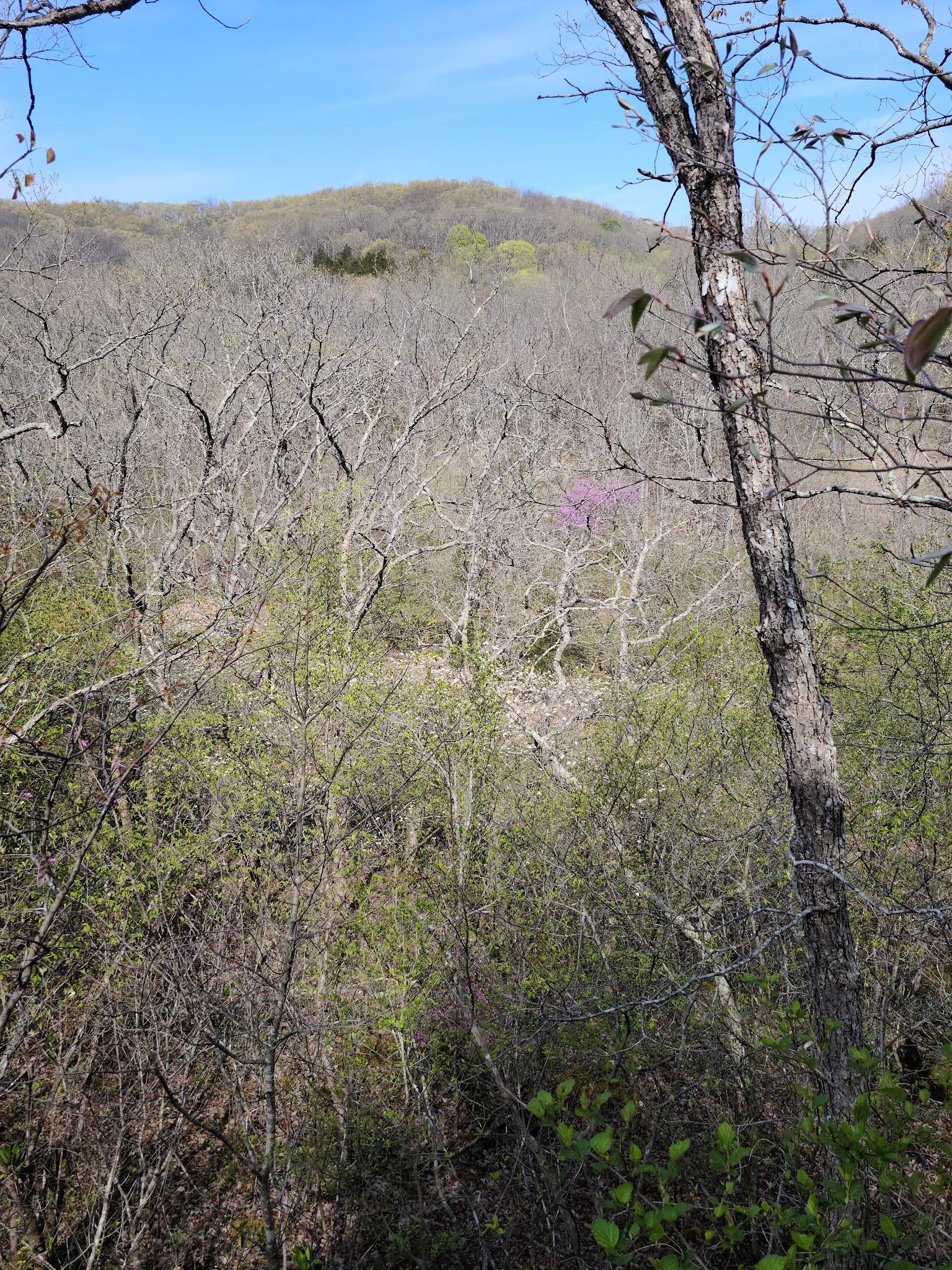 St. Francois State Park Campground