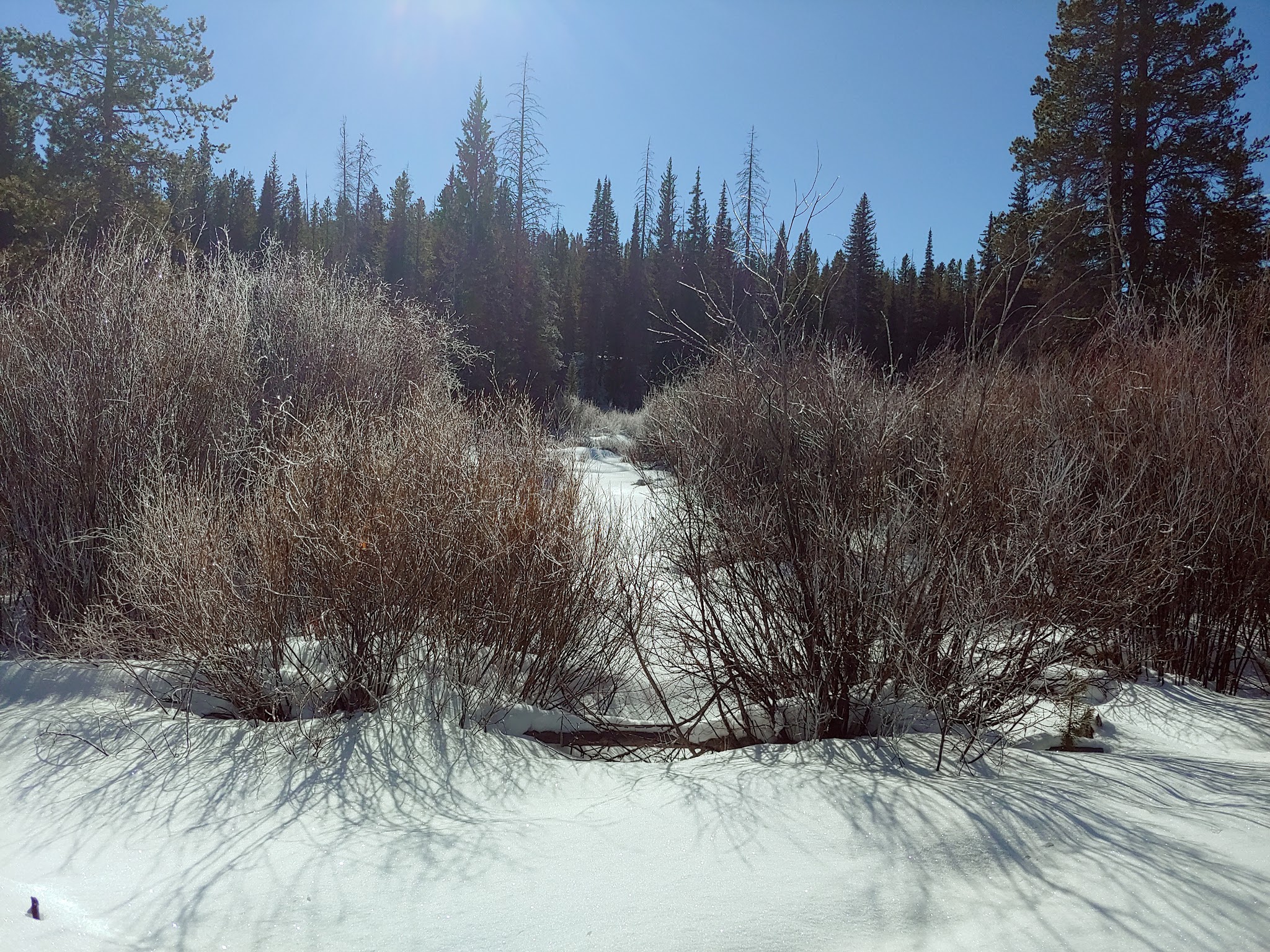 St. Louis Creek Campground