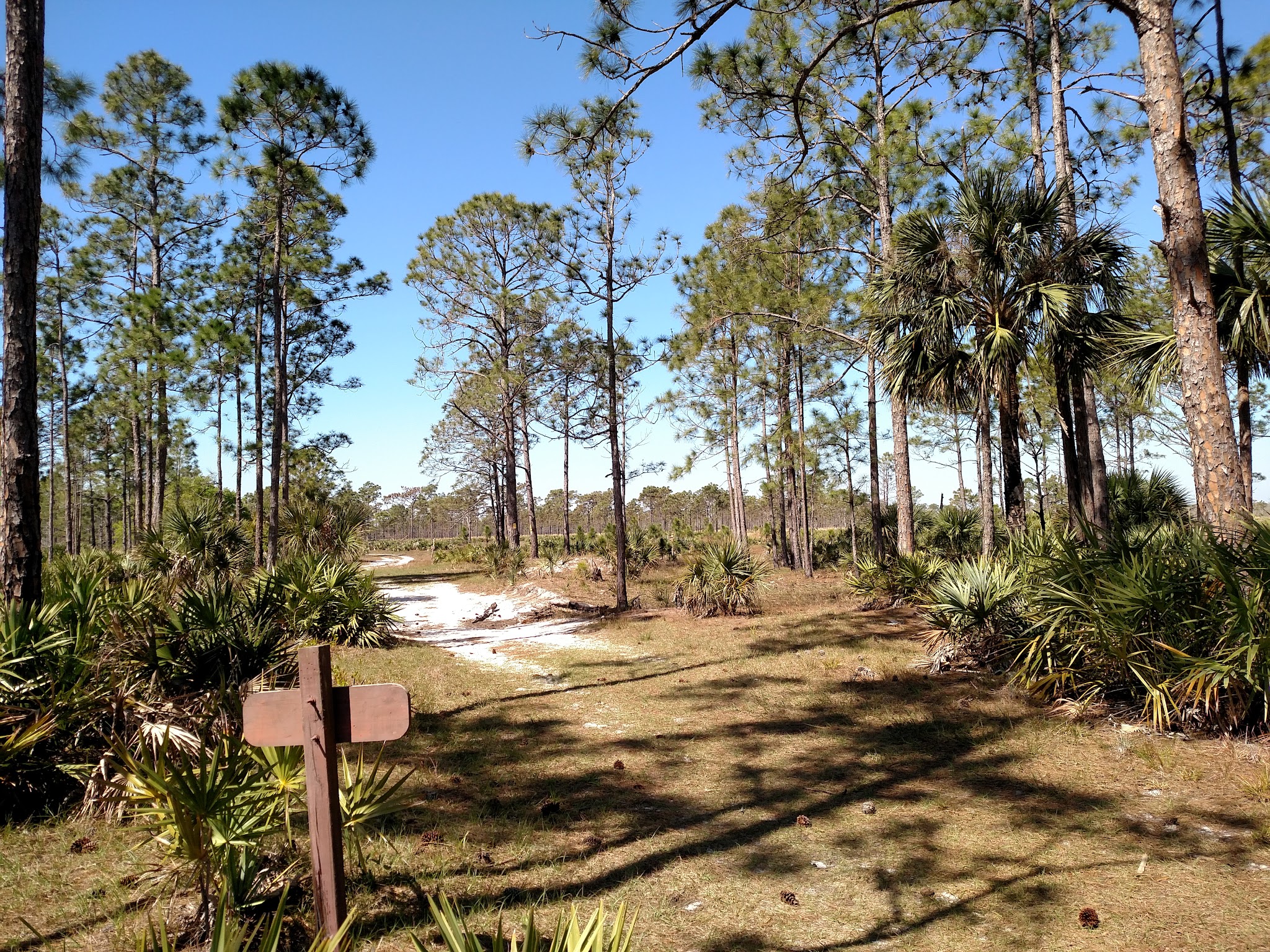 Green Trail - Nw Q - Bc Campground