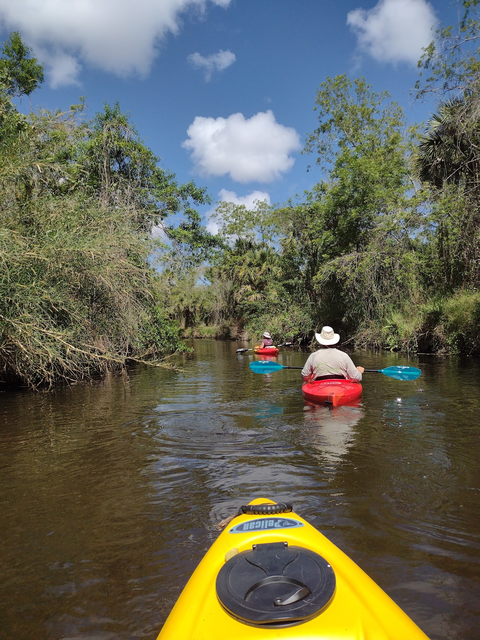 Green Trail - Nw Q - Bc Campground
