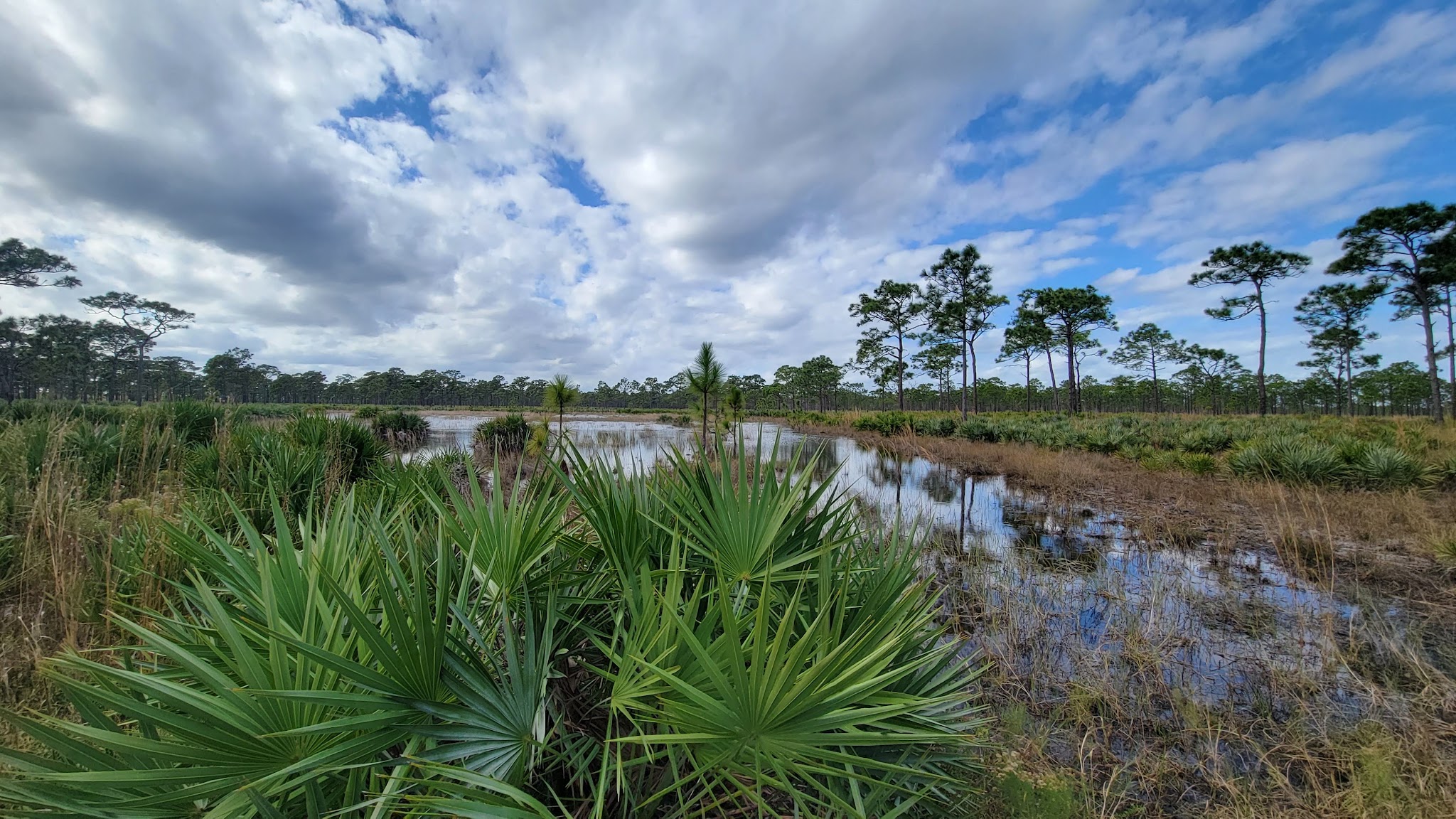 Green Trail - Nw Q - Bc Campground