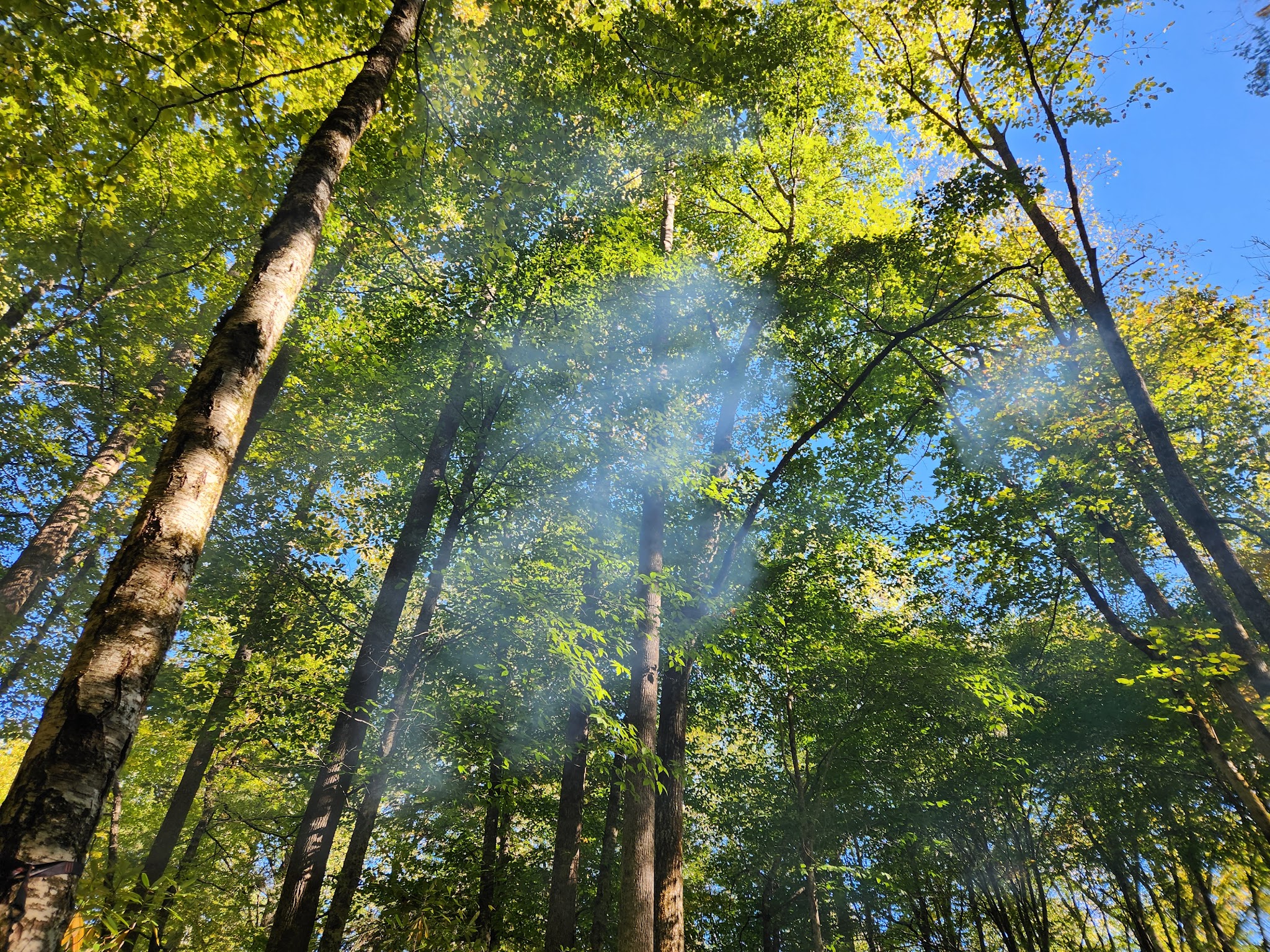 Standing Indian Campground