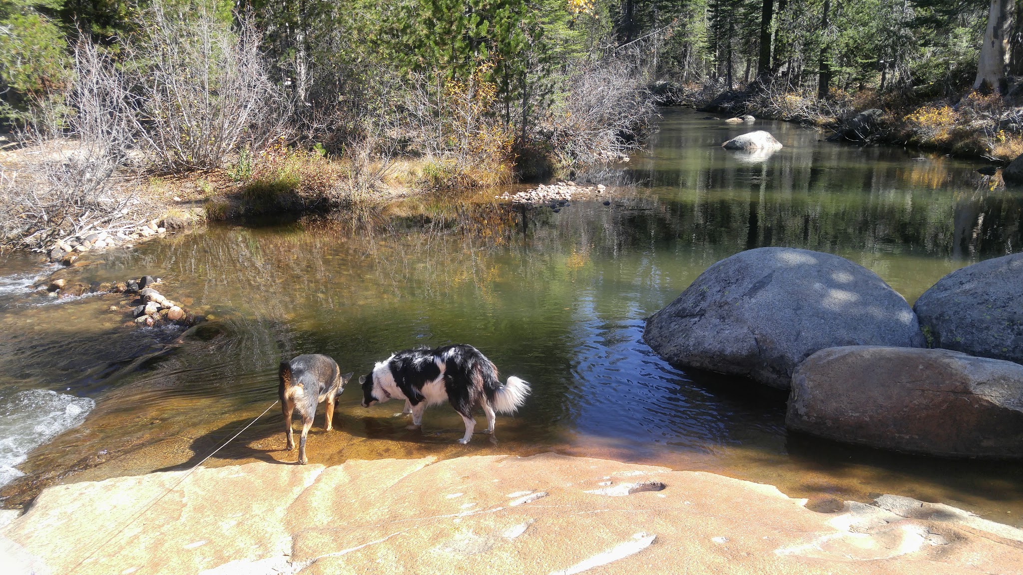 Stanislaus River Campground