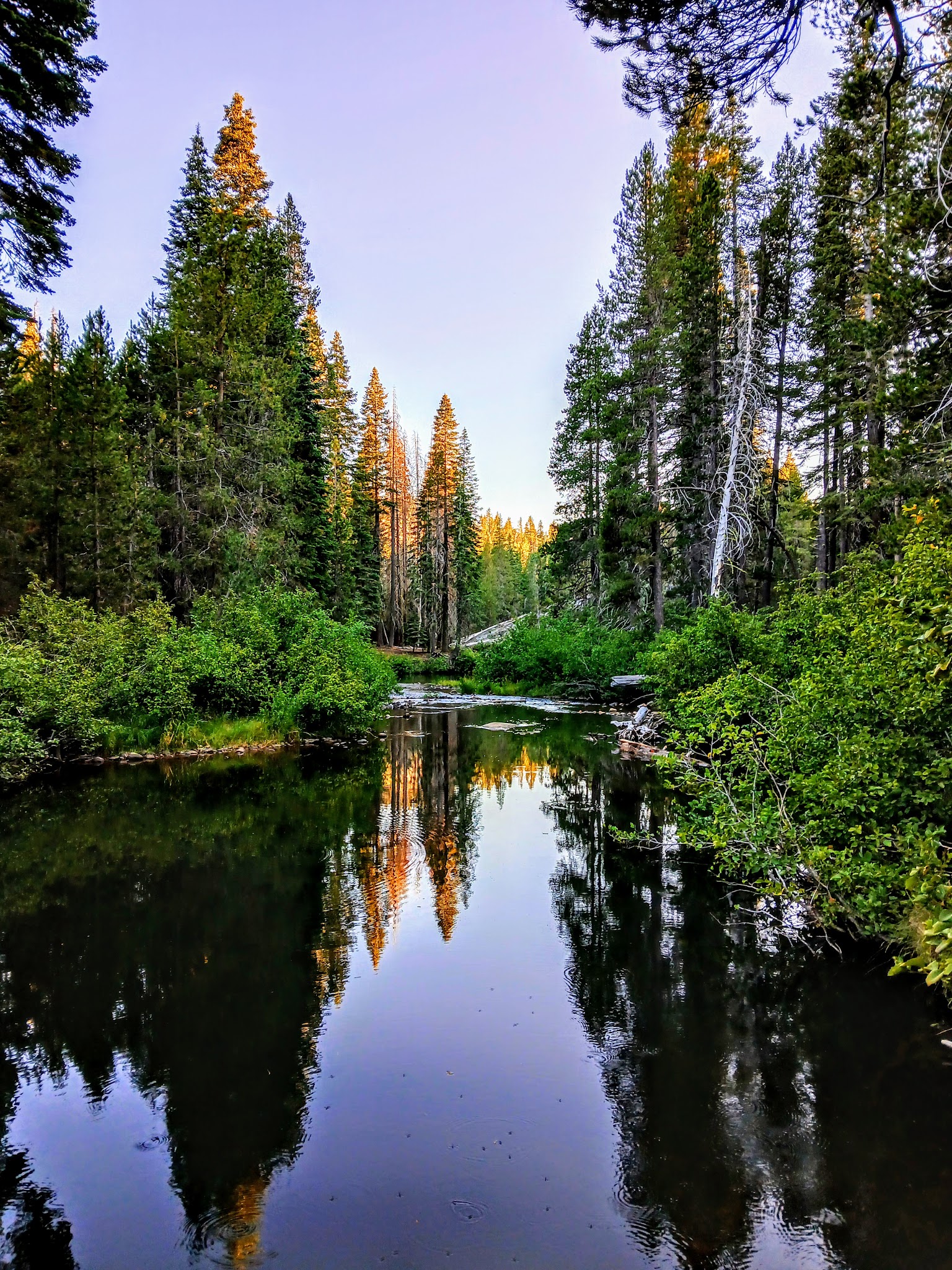 Stanislaus River Campground