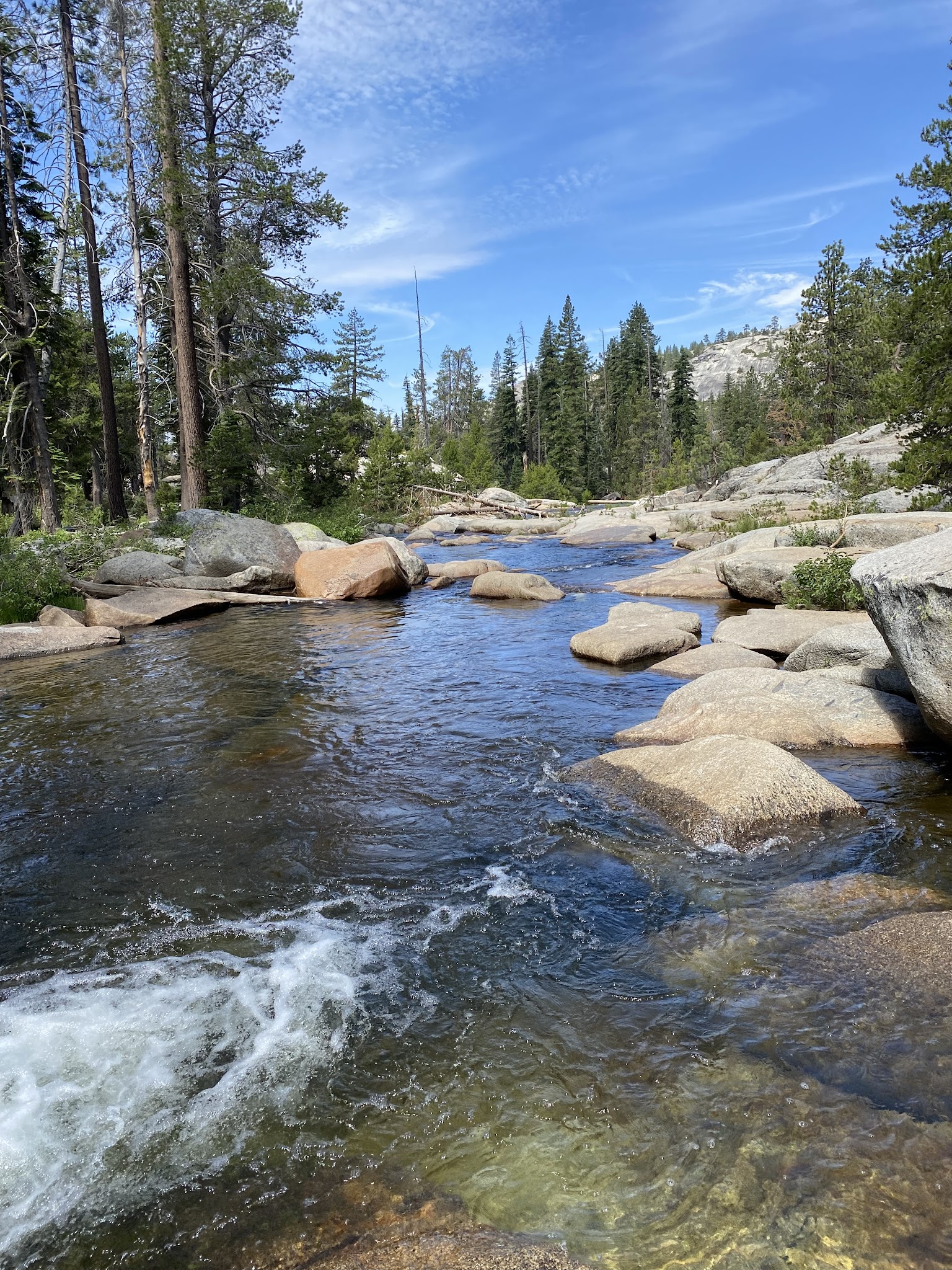 Stanislaus River Campground