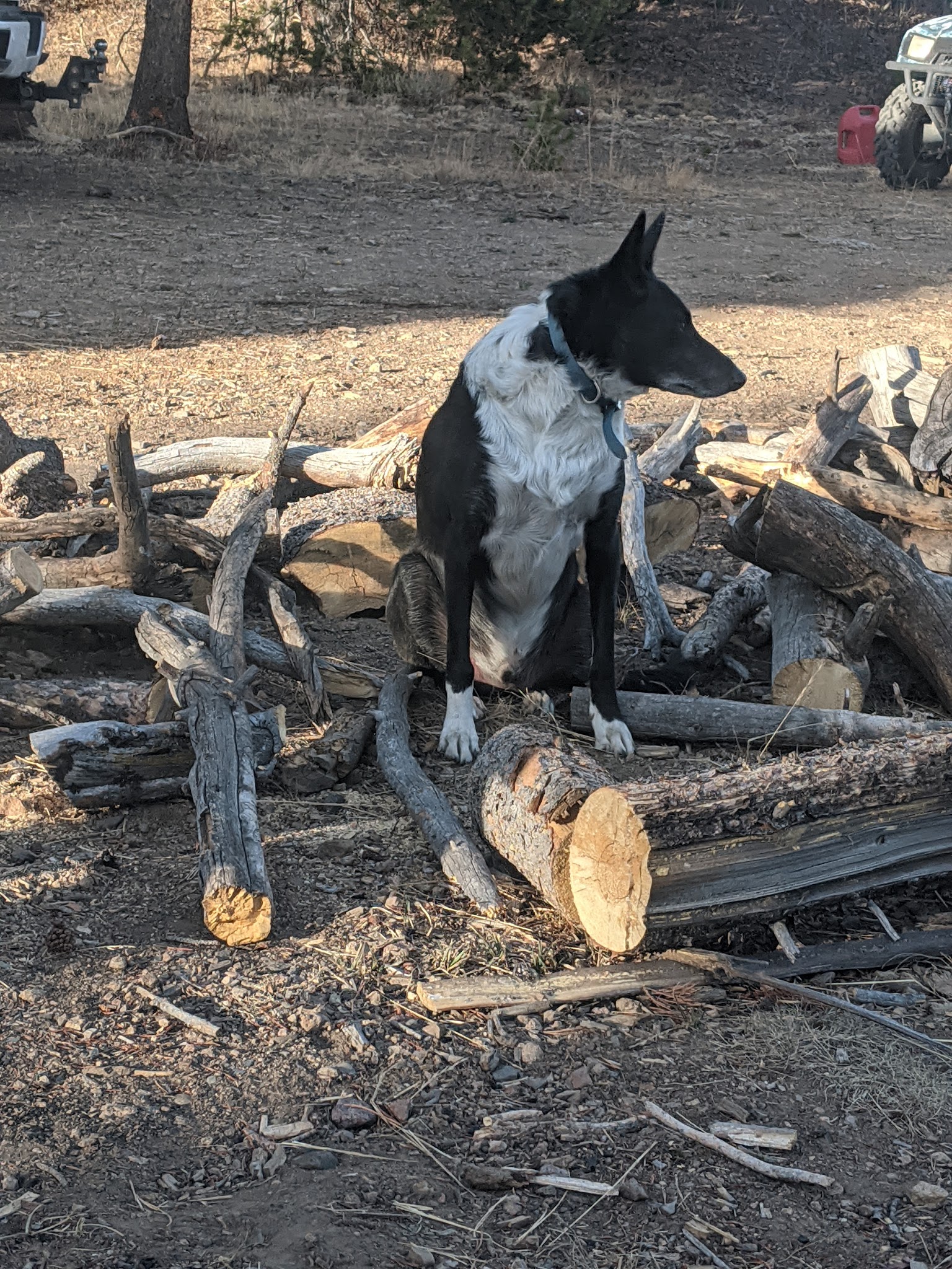 Star Hope Campground