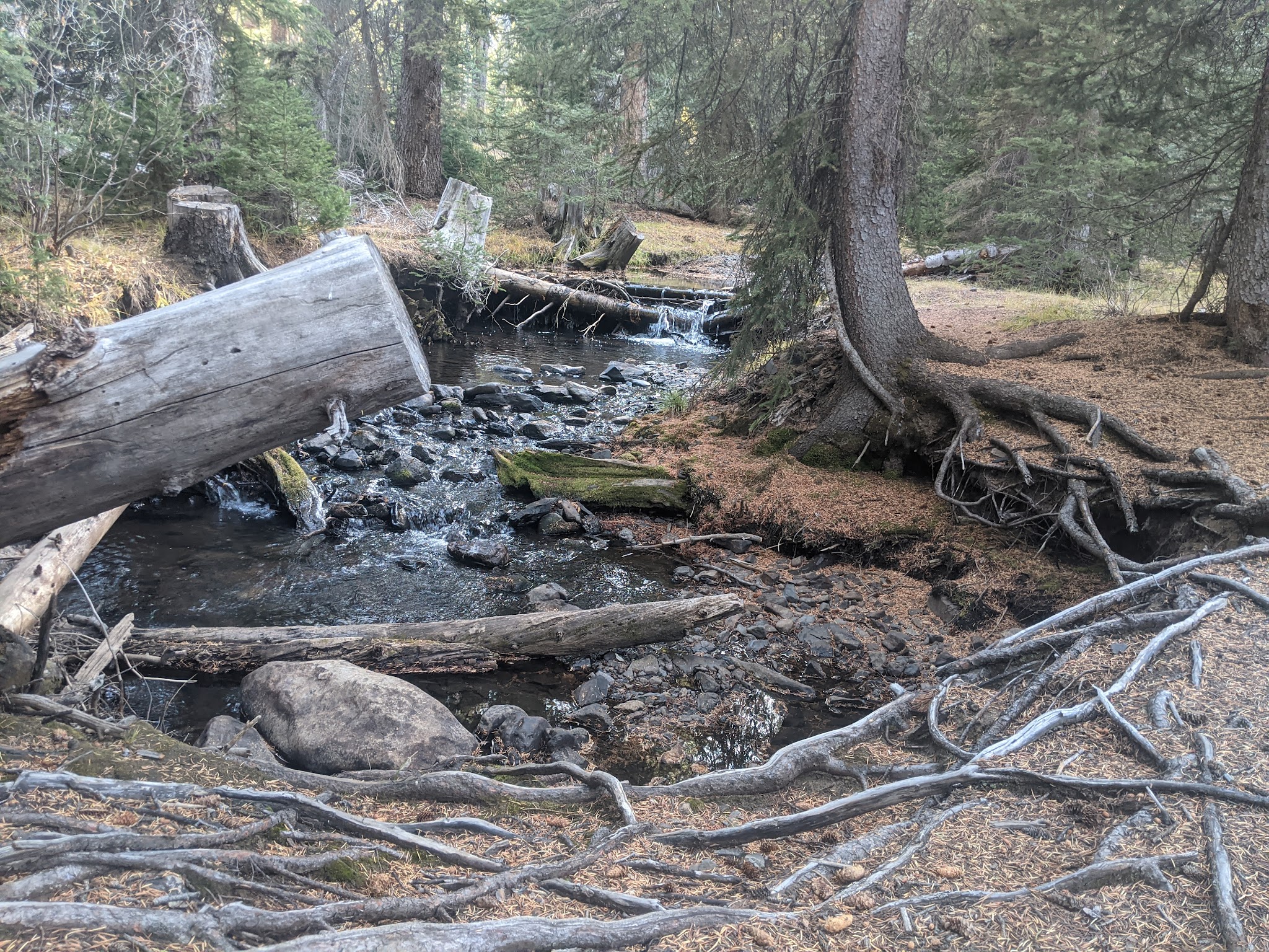 Star Hope Campground