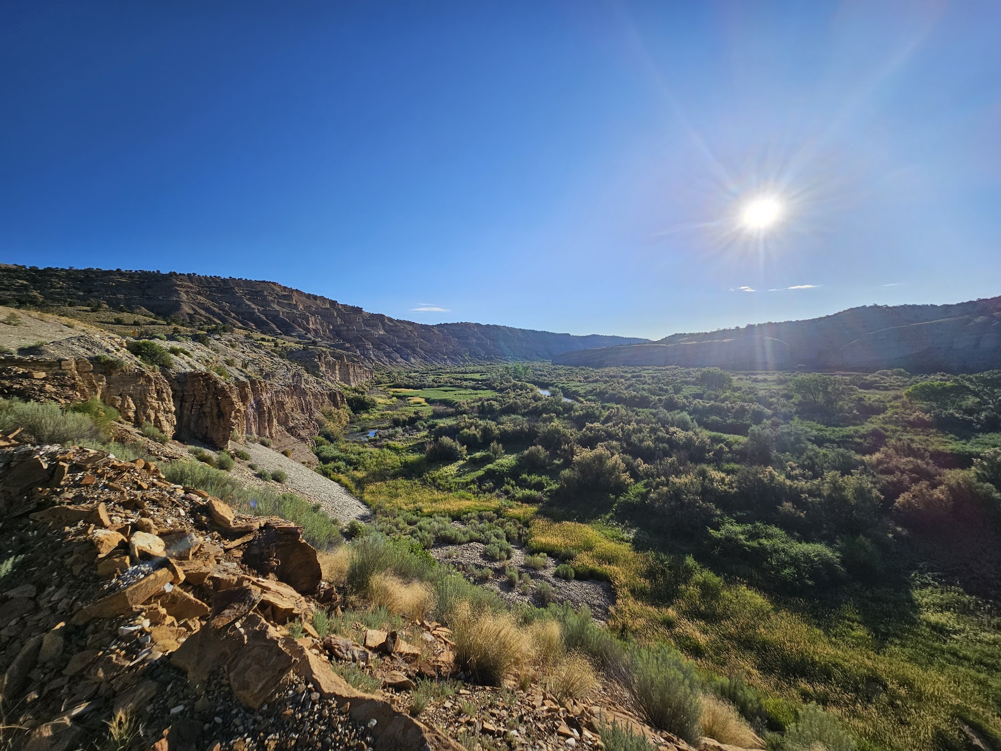 Fred Hayes State Park At Starvation
