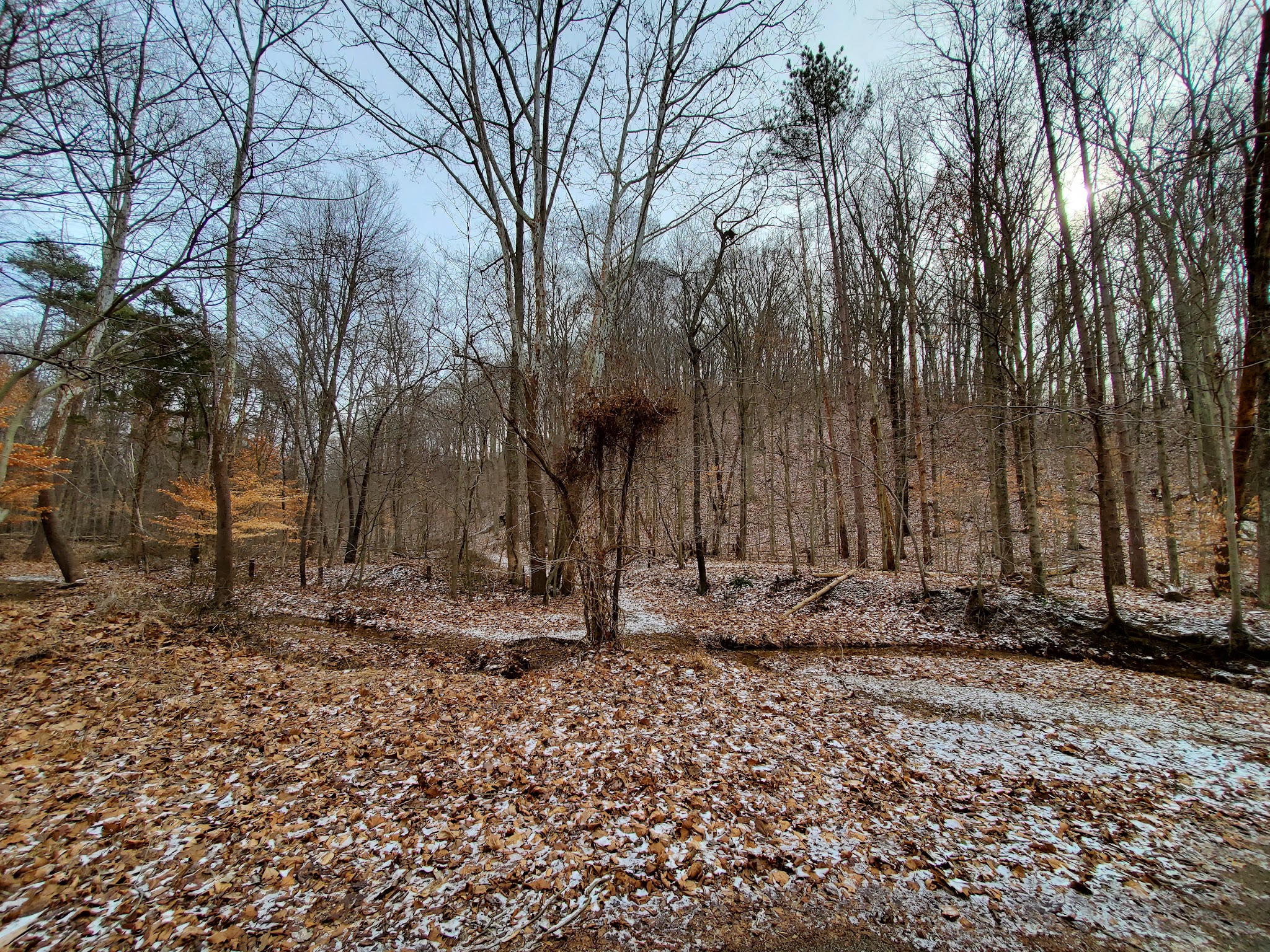 Starve Hollow State Recreation Area