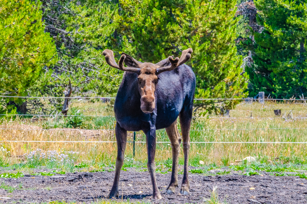 State Forest State Park