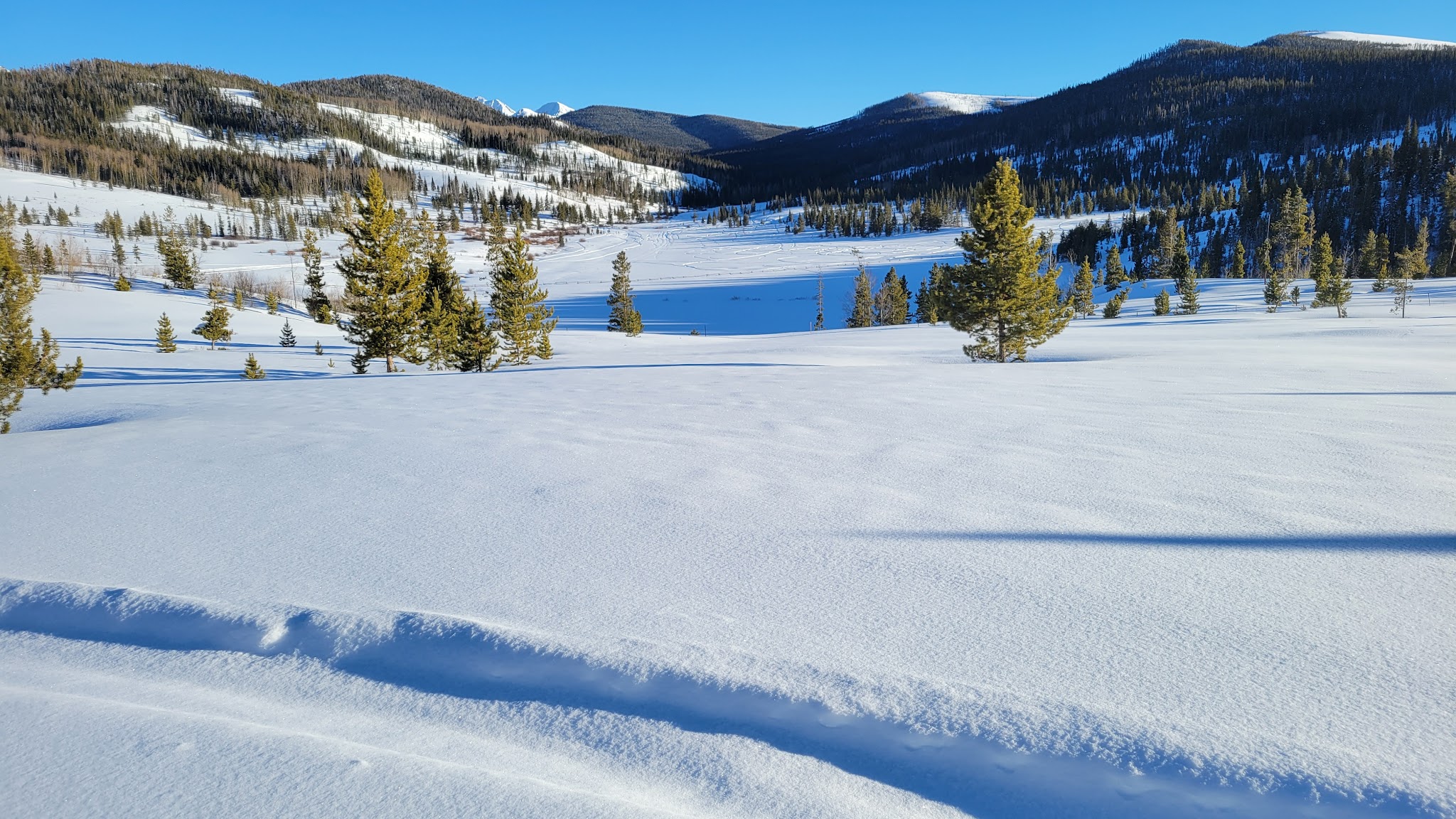 State Forest State Park