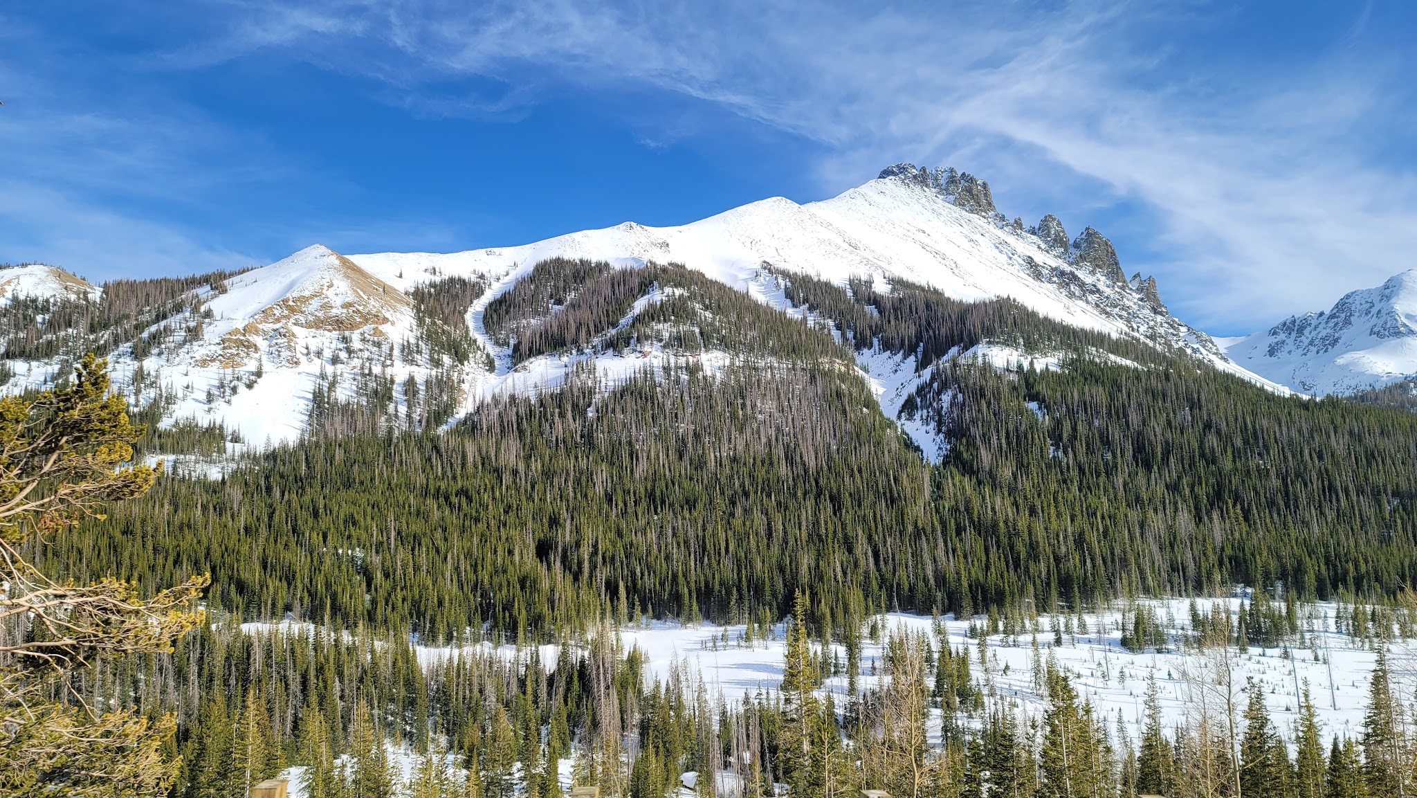 State Forest State Park