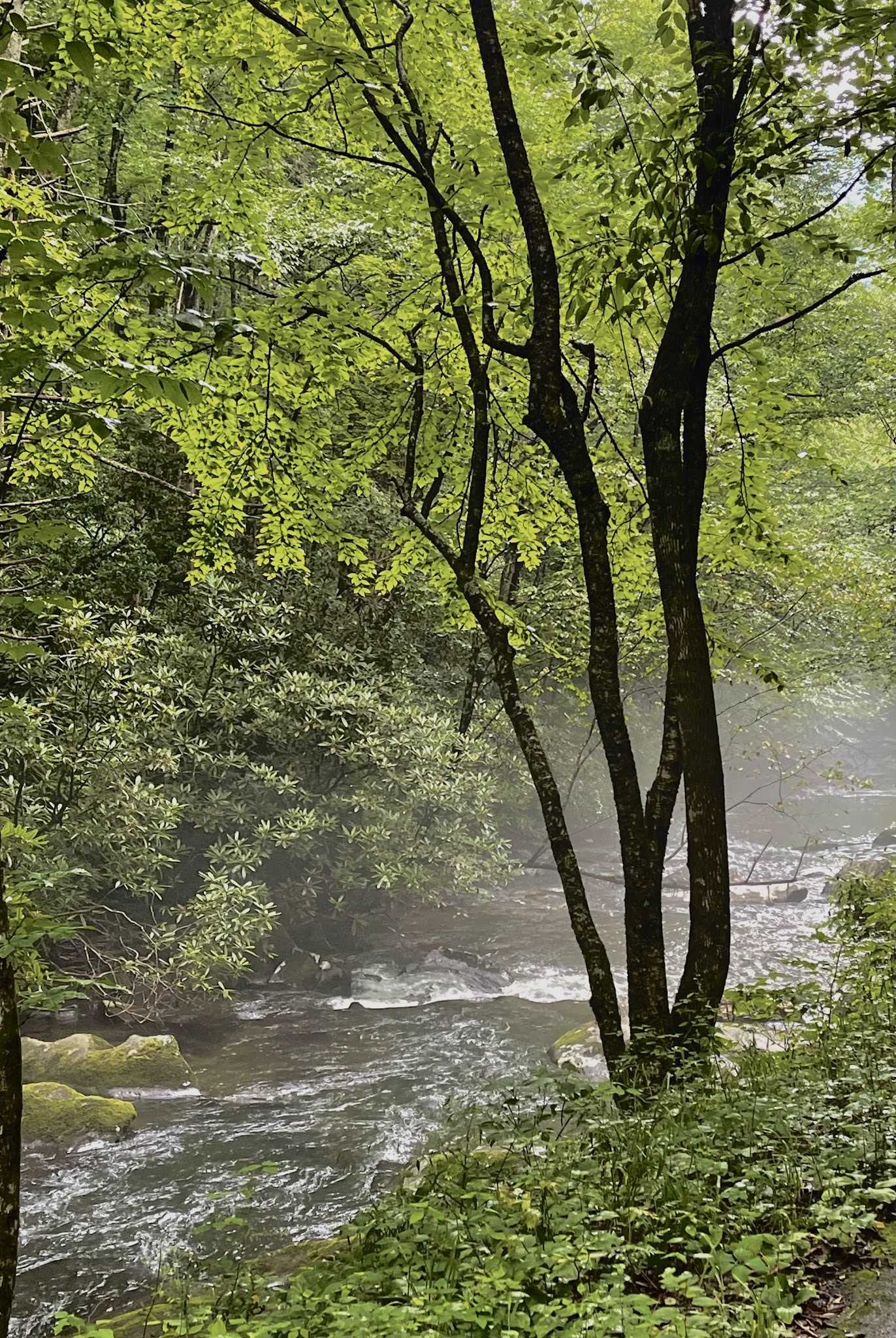 State Line Campground