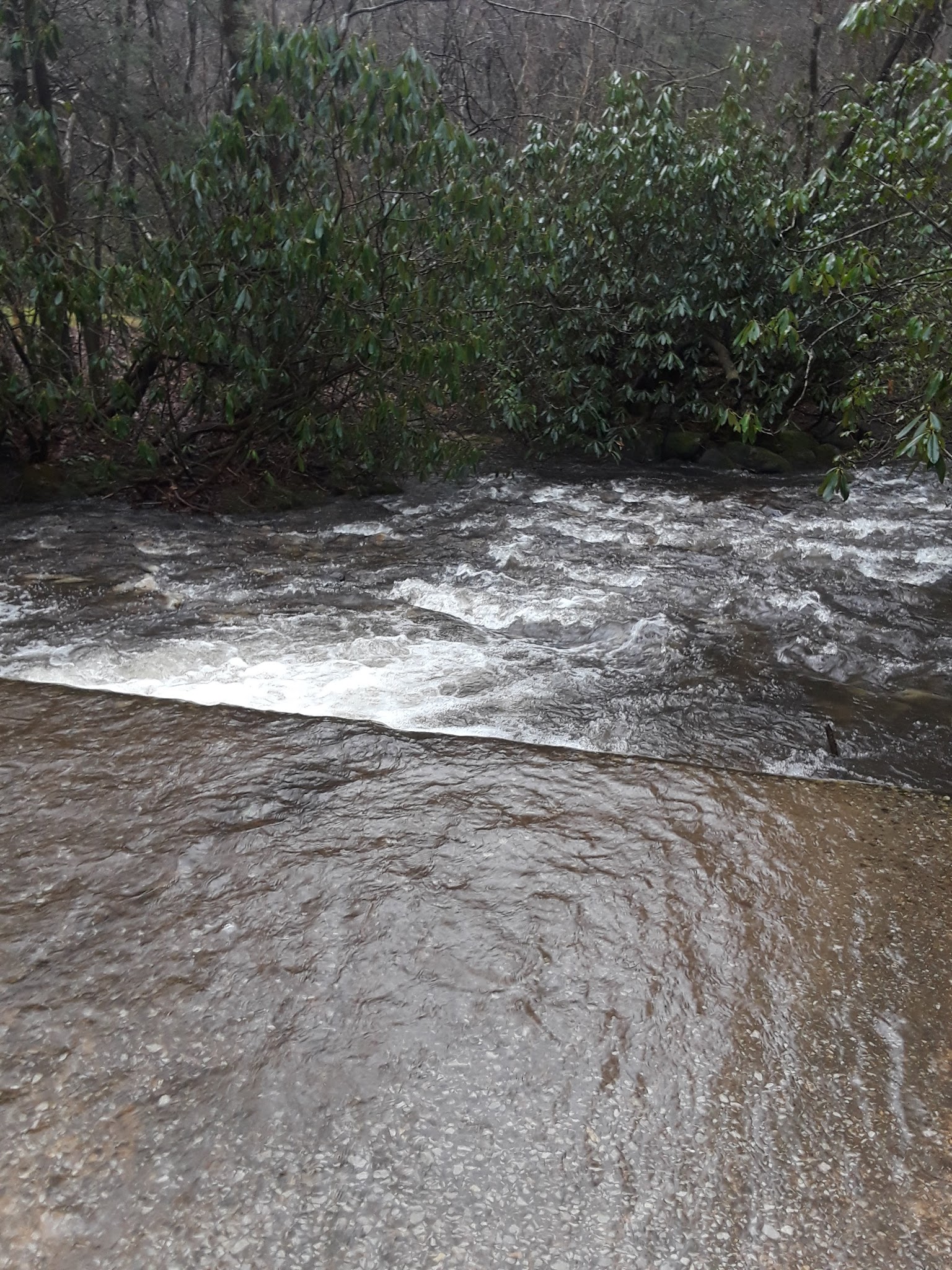 State Line Campground