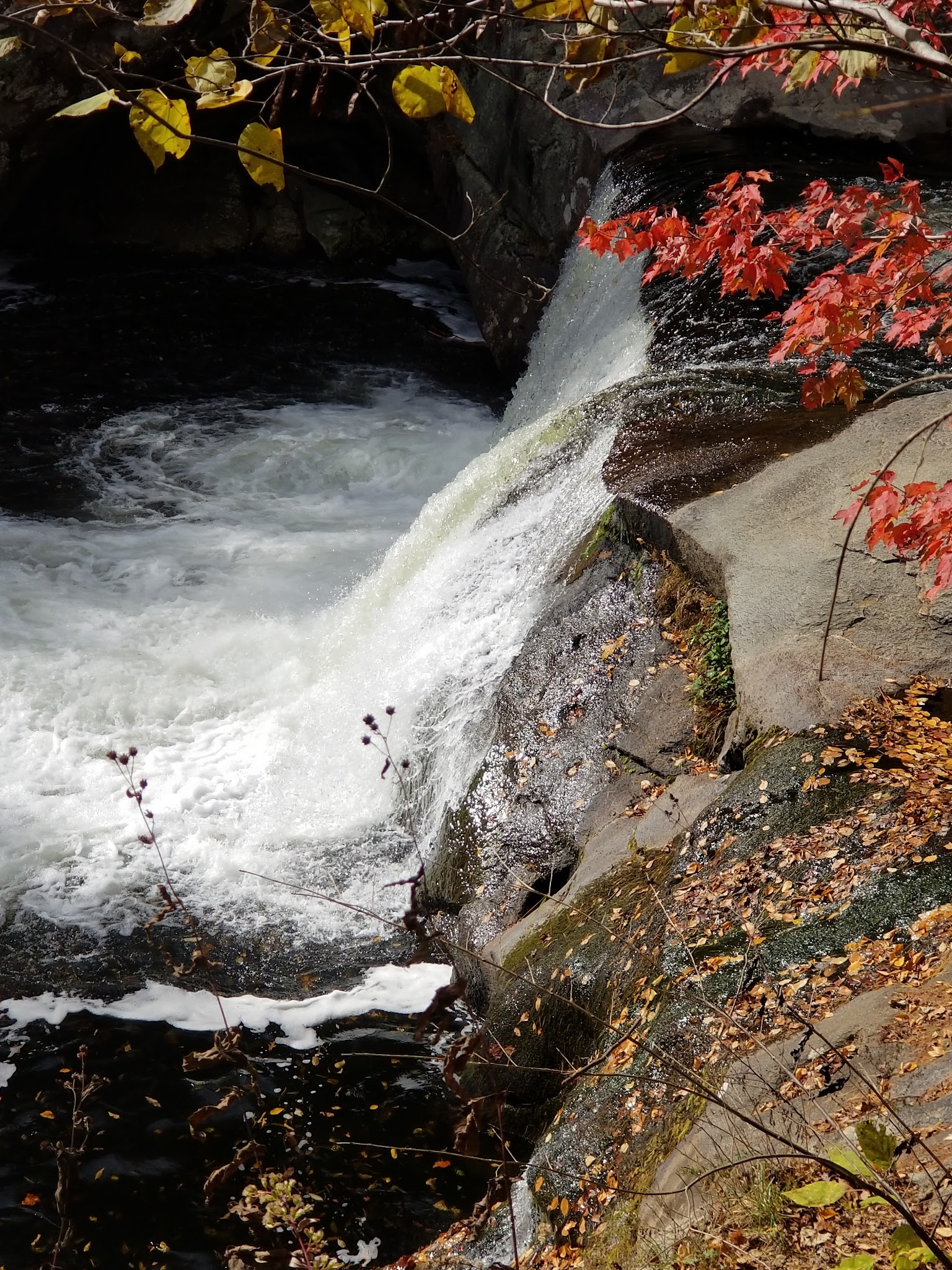 State Line Campground