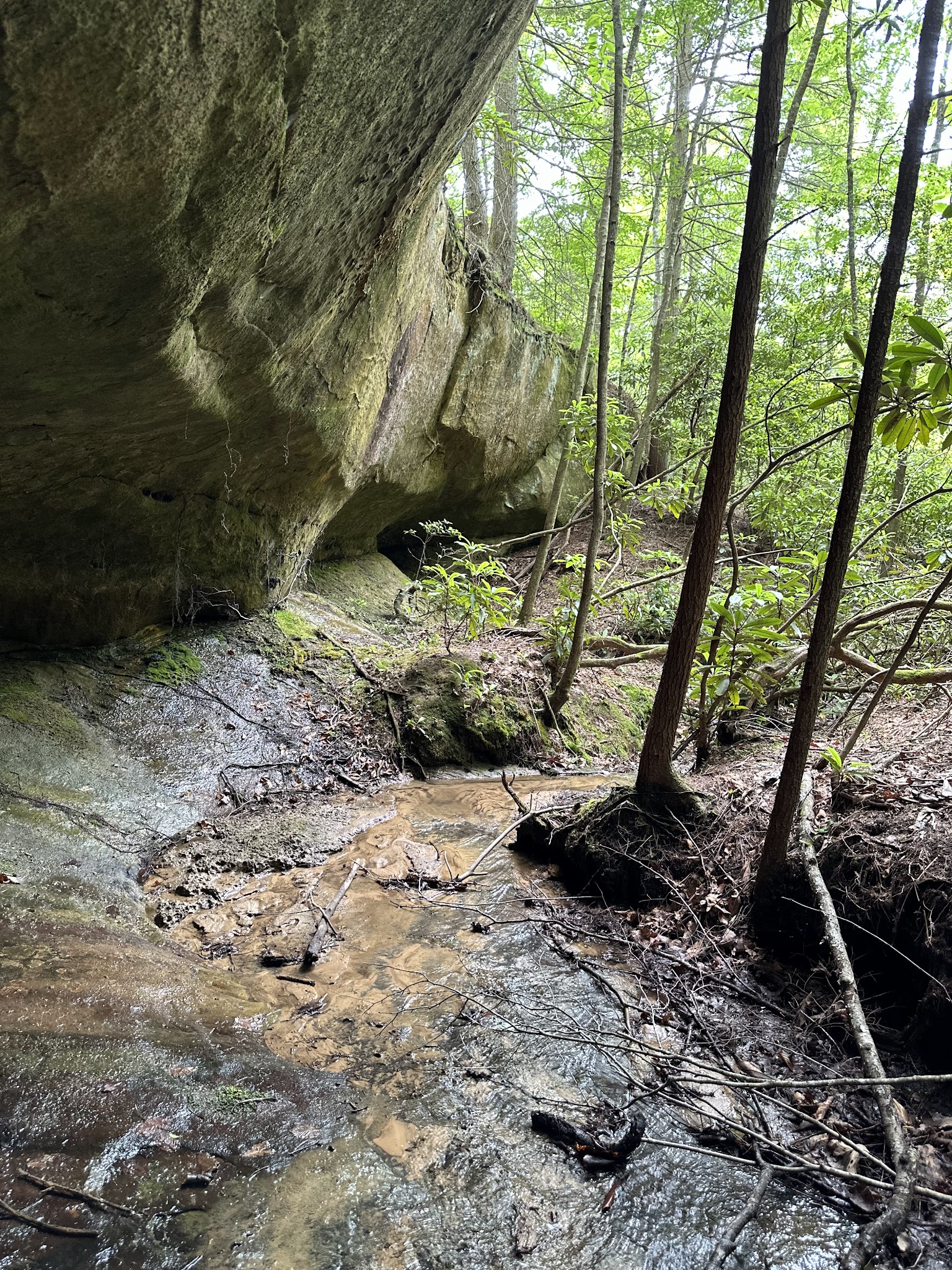 Station Camp Campground