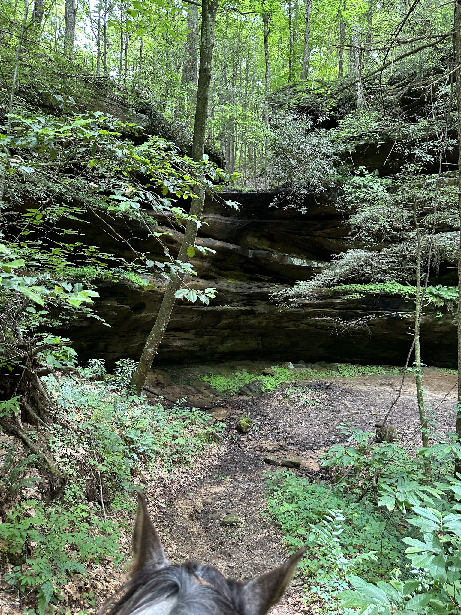 Station Camp Campground