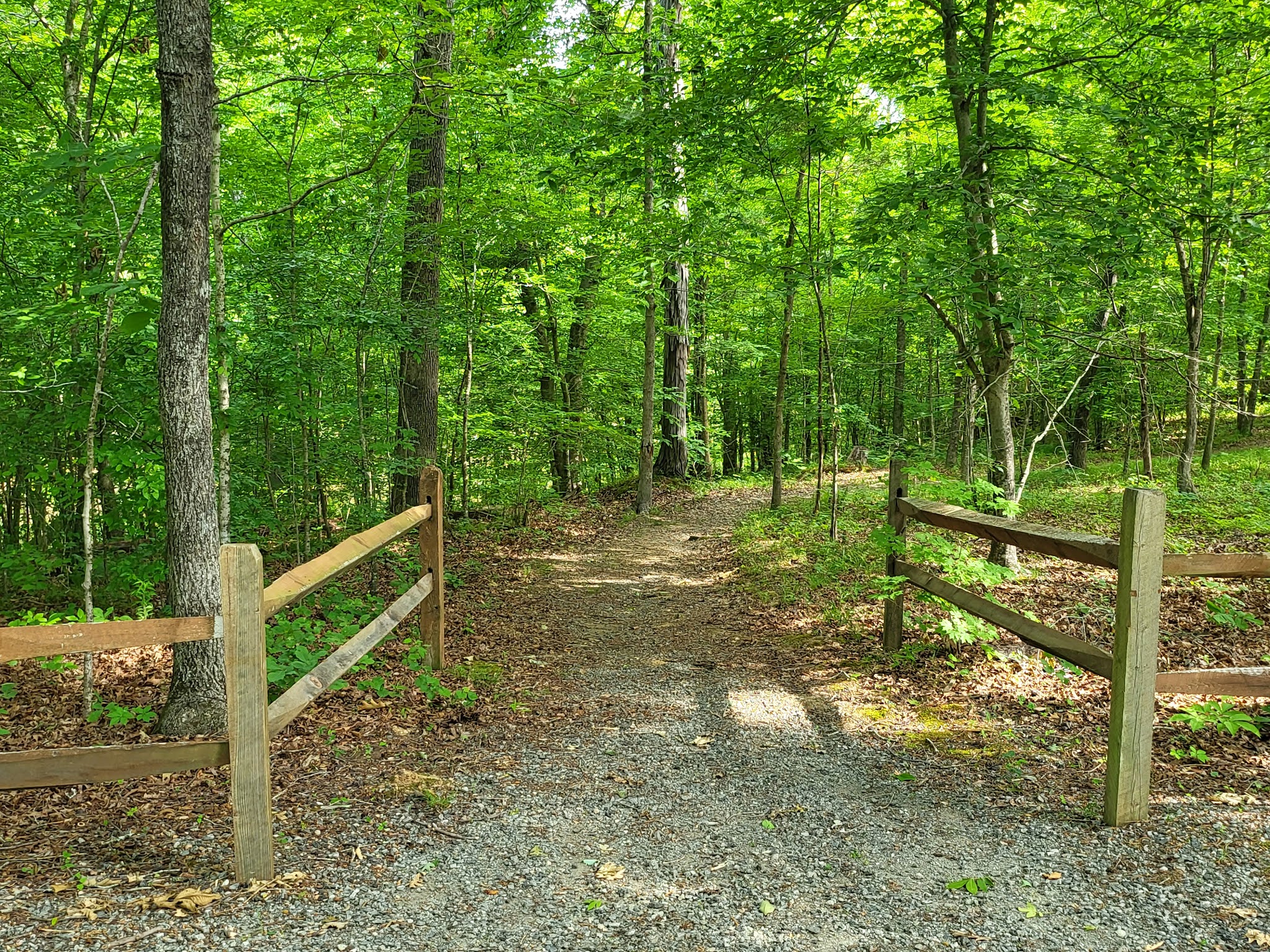 Staunton River Campground