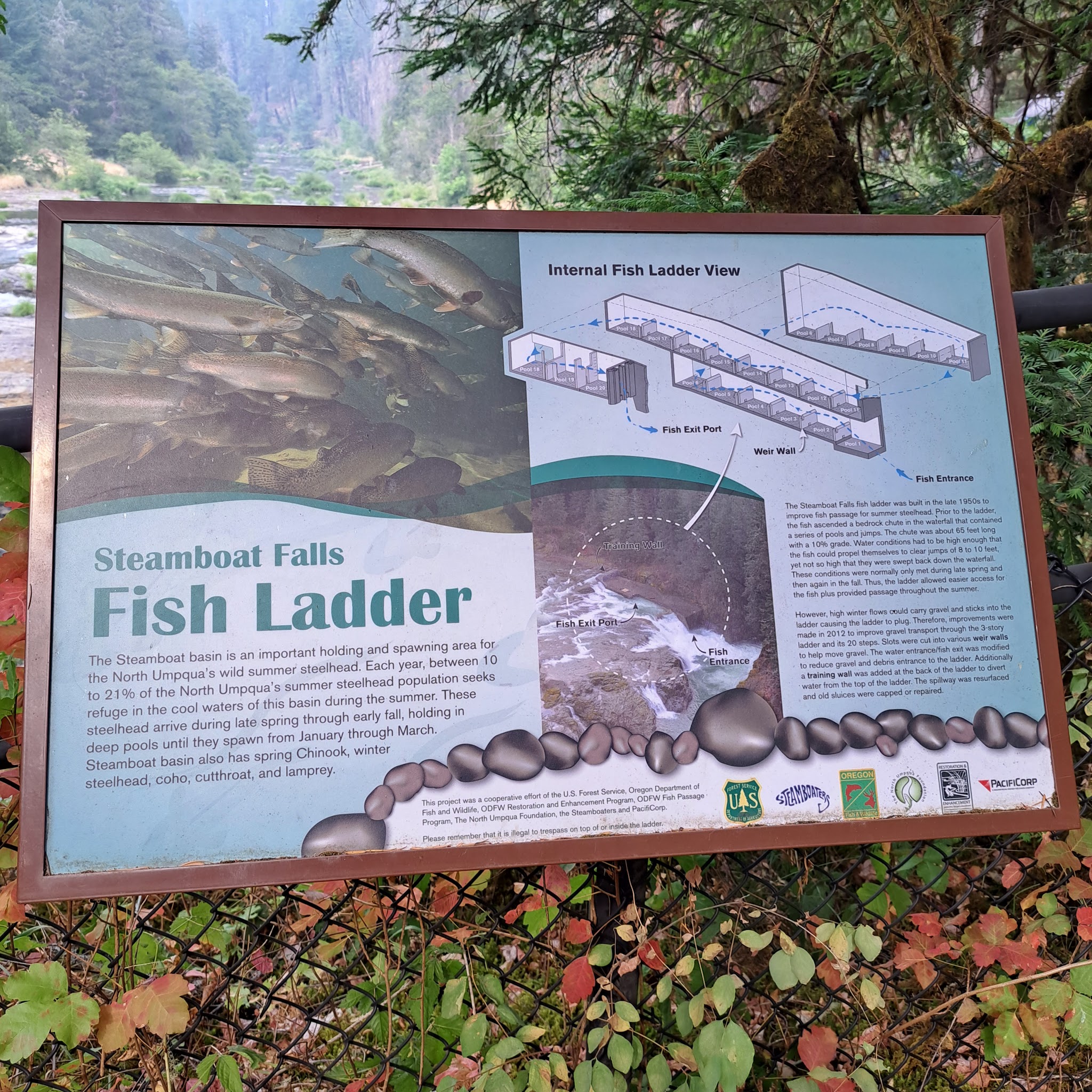 Steamboat Falls Campground