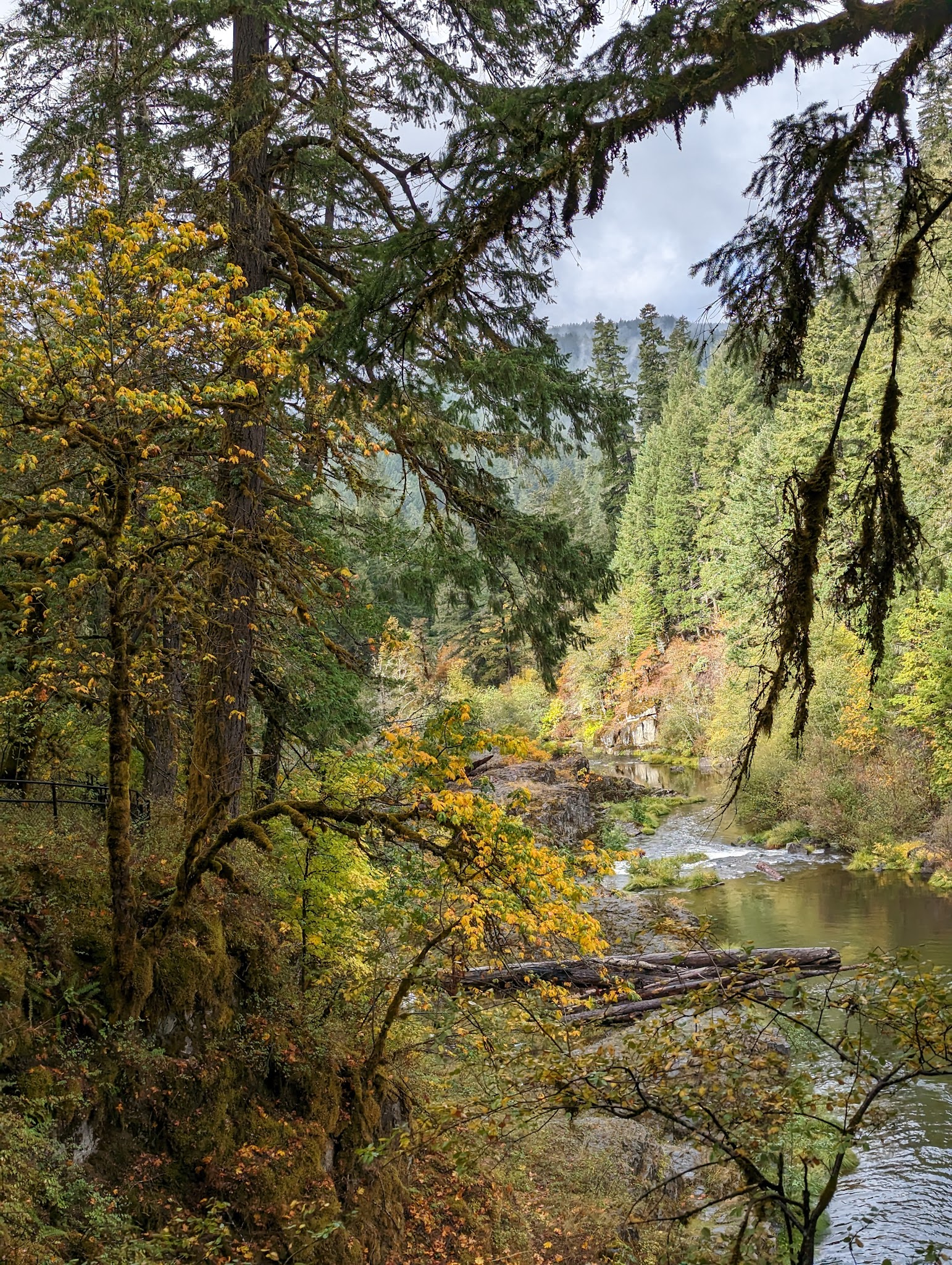 Steamboat Falls Campground