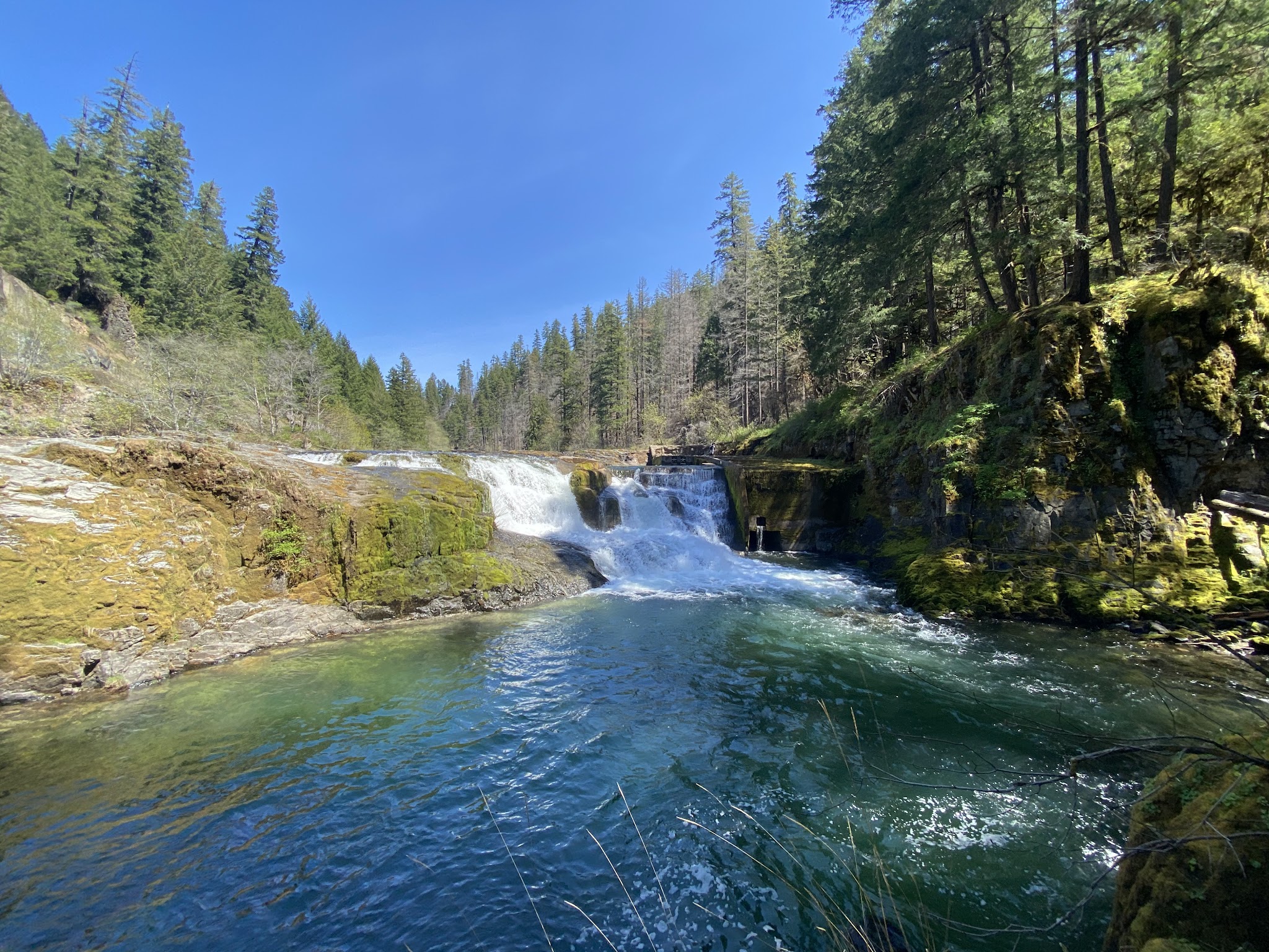 Steamboat Falls Campground