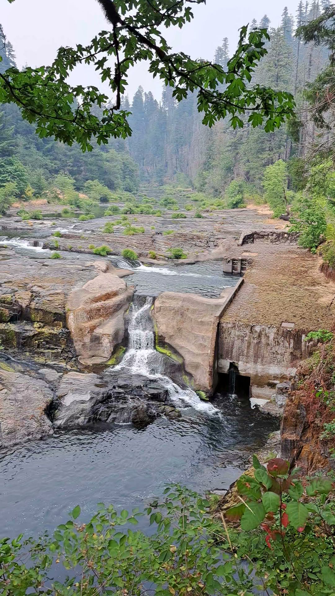 Steamboat Falls Campground
