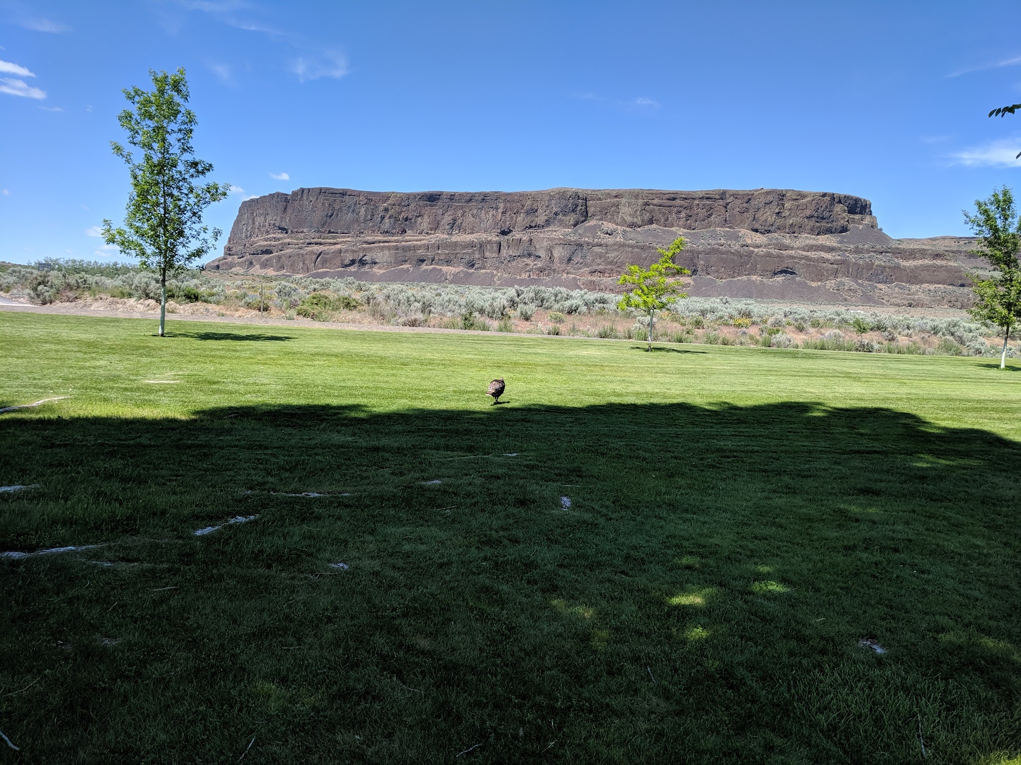 Steamboat Rock State Park