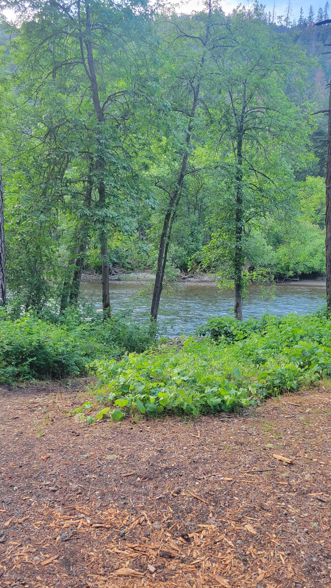 Steel Bridge Campground