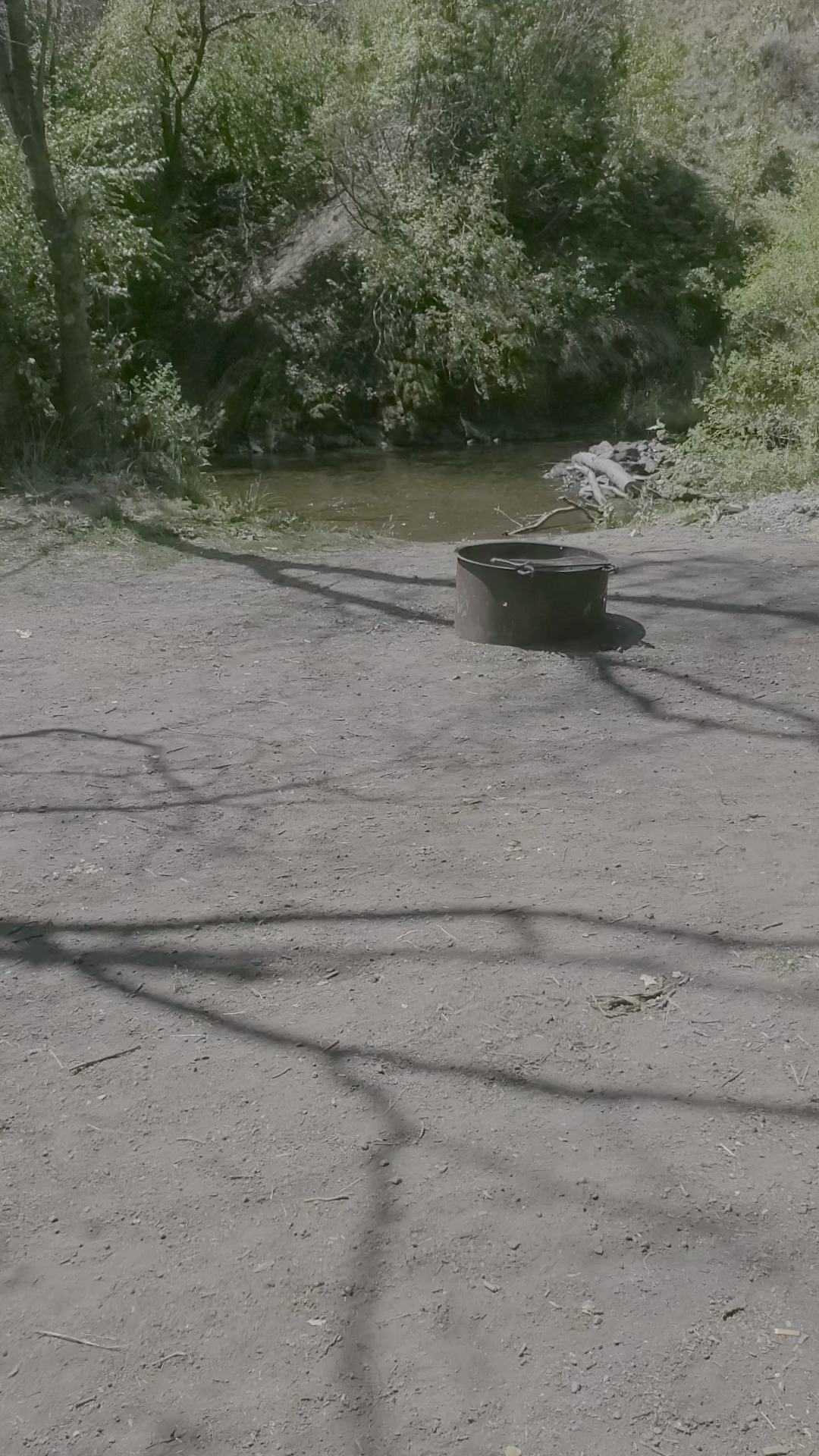 Steer Basin Campground