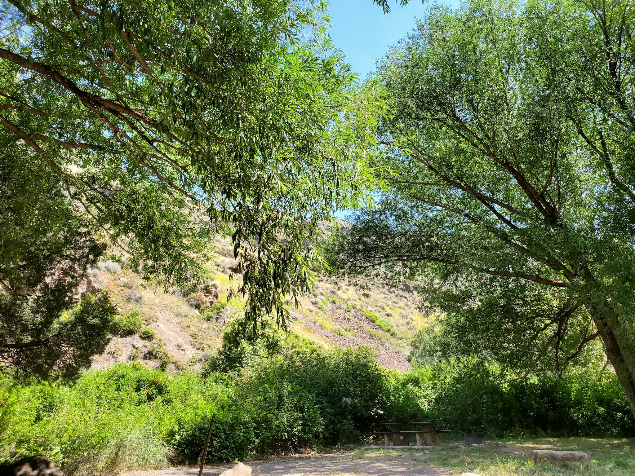 Steer Basin Campground