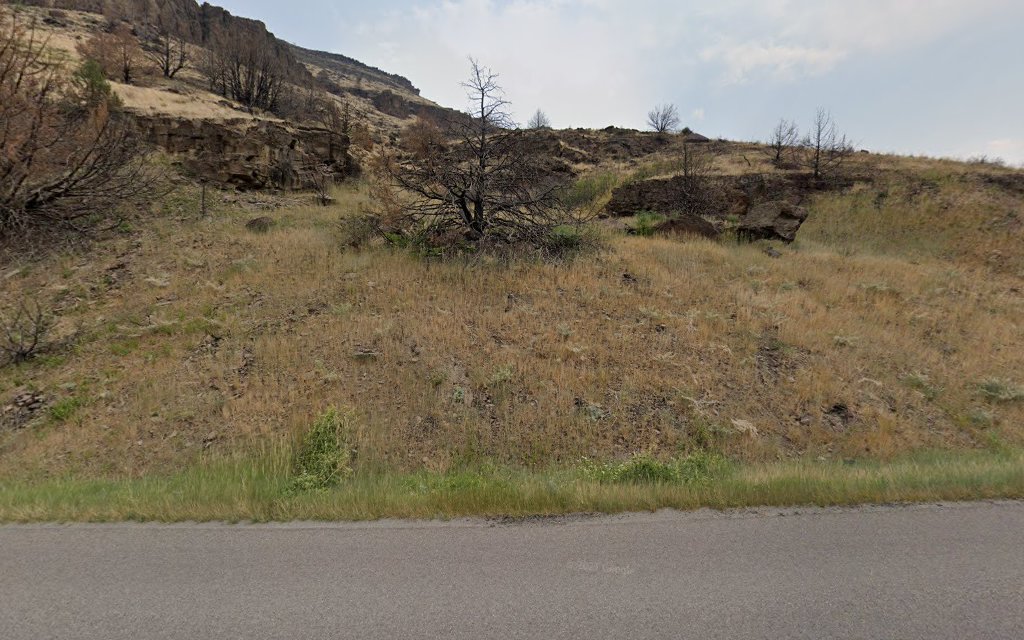 Steer Basin Campground