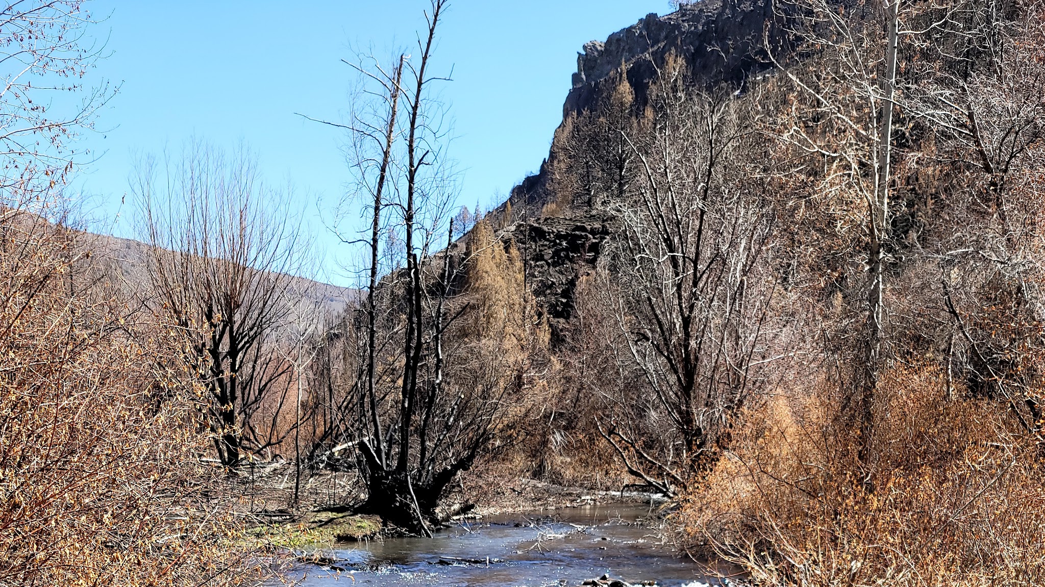 Steer Basin Campground