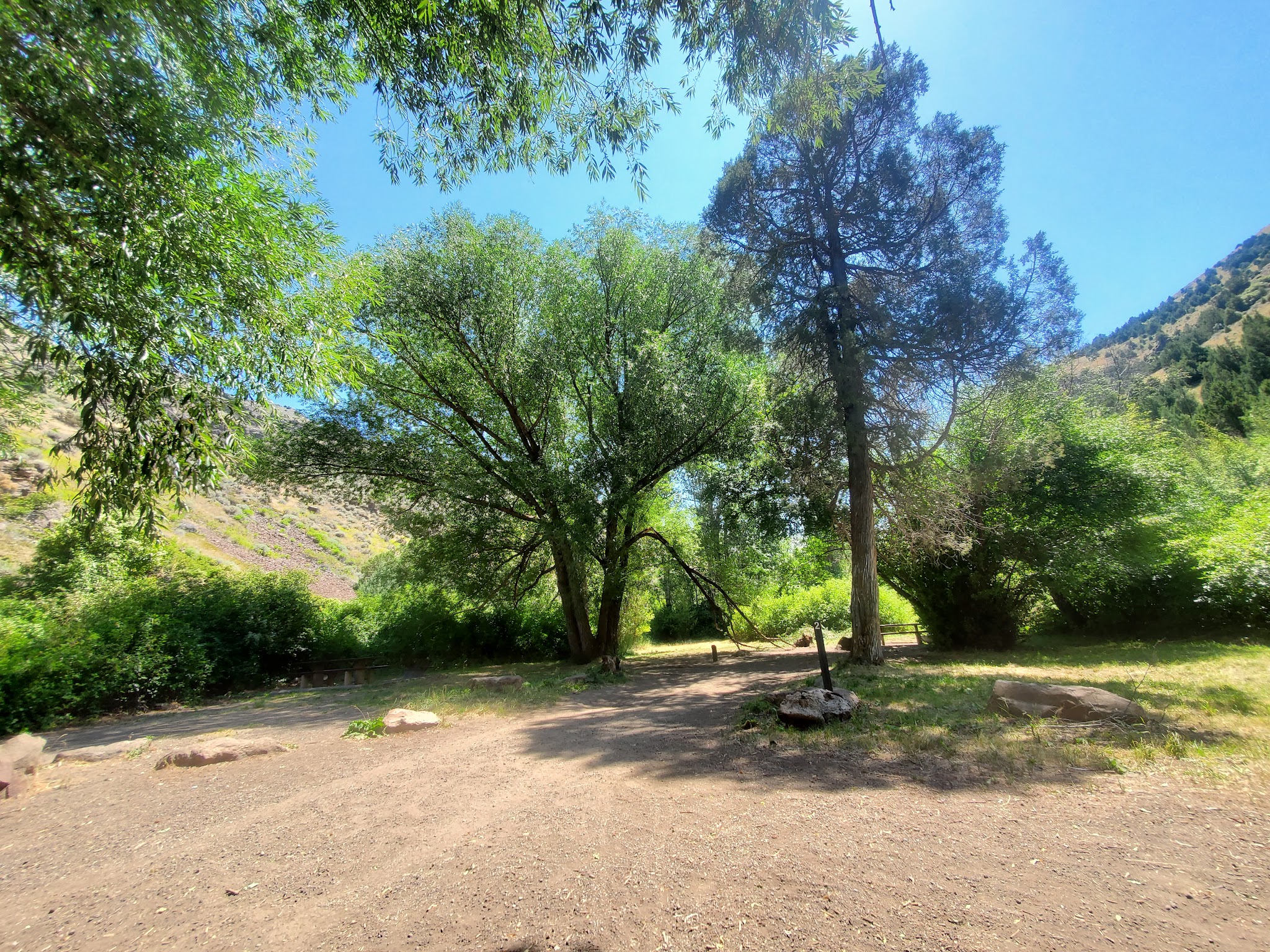 Steer Basin Campground