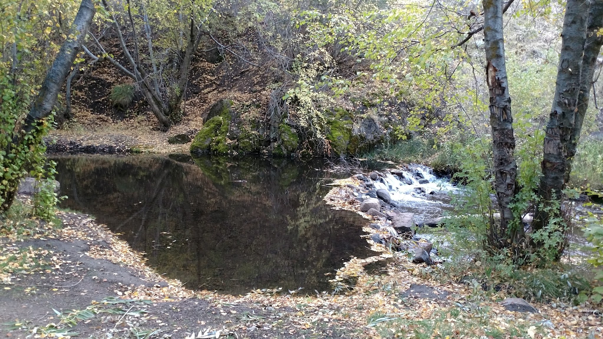 Steer Basin Campground