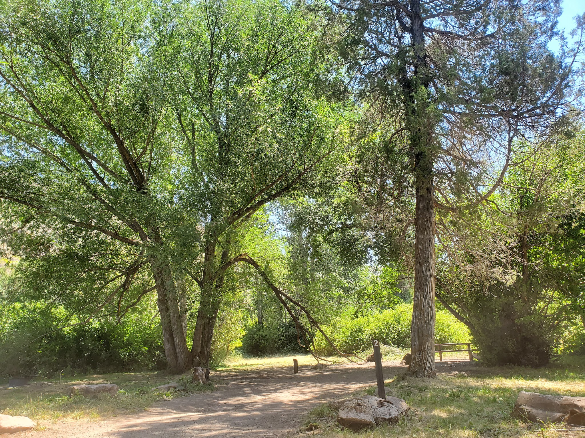 Steer Basin Campground