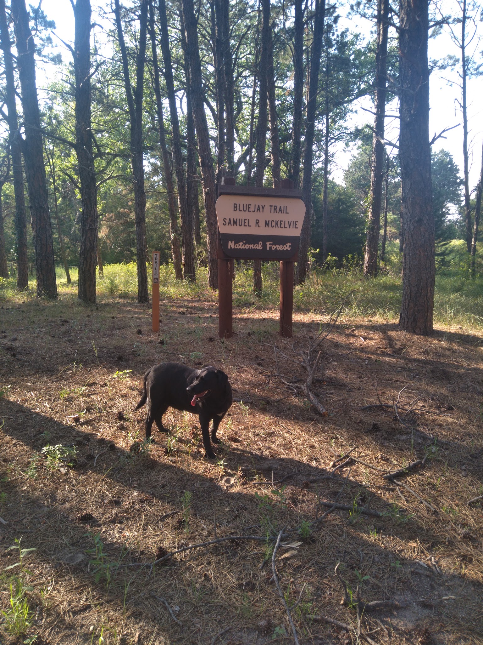 Steer Creek Campground