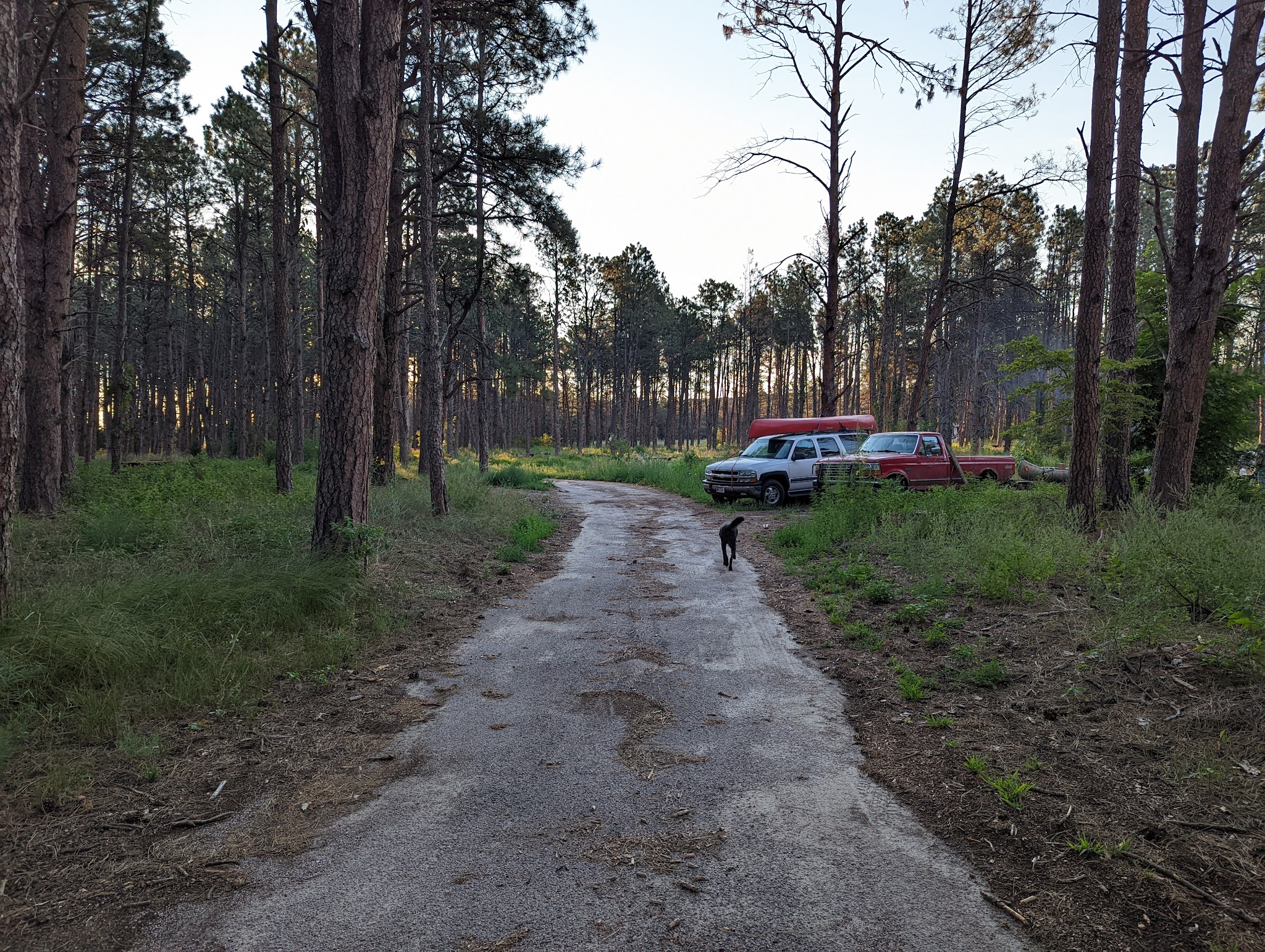 Steer Creek Campground