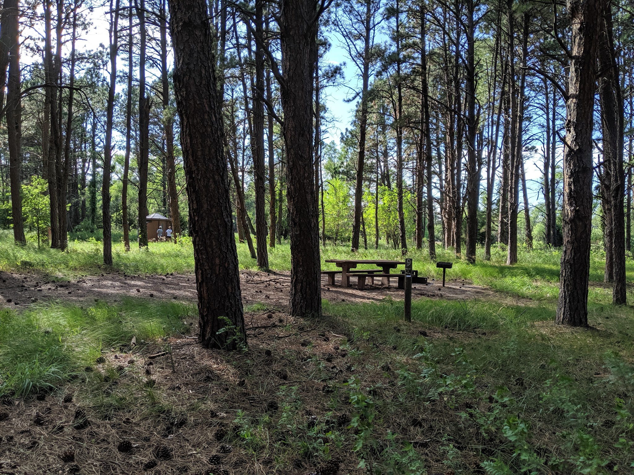 Steer Creek Campground