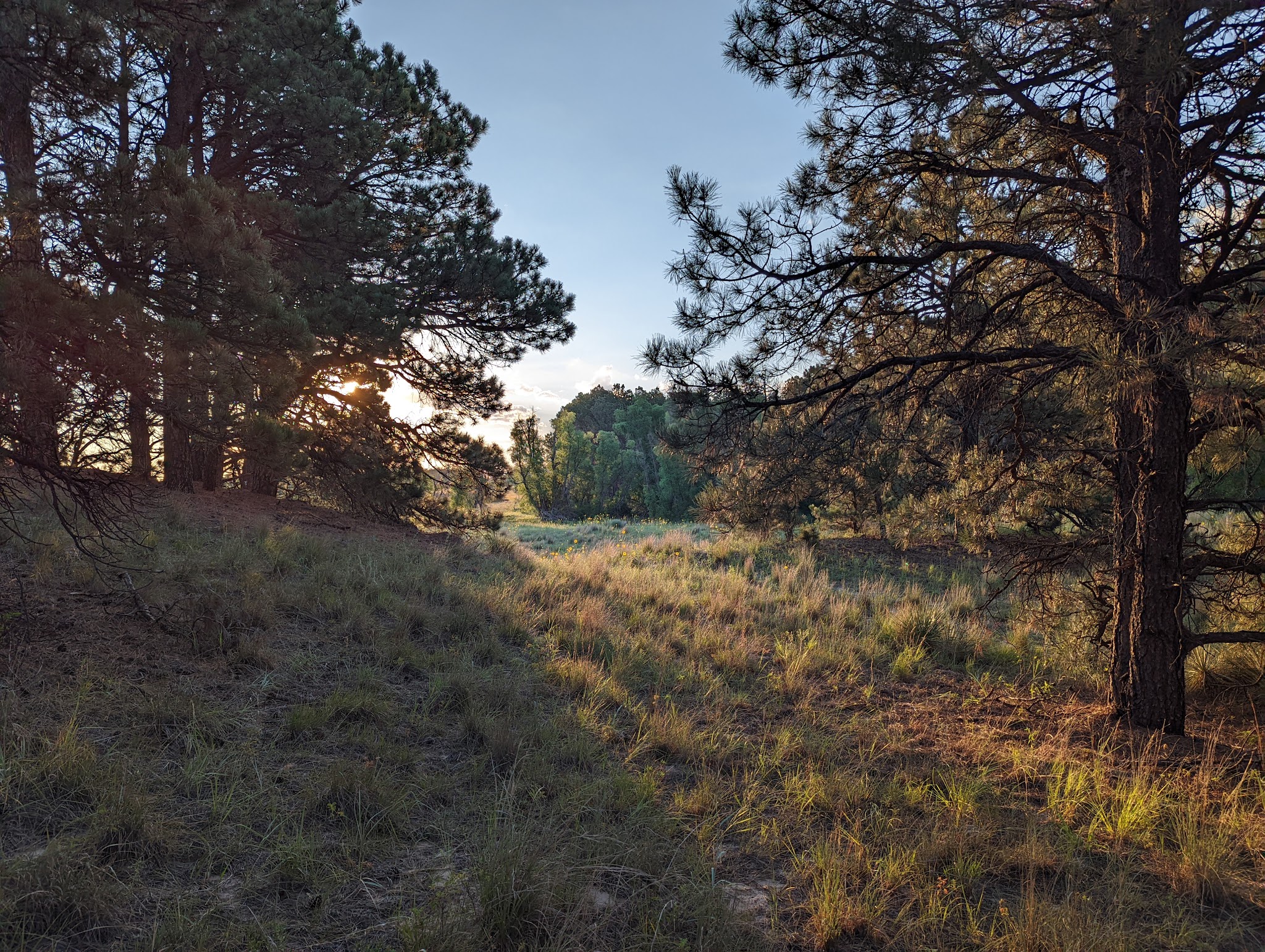 Steer Creek Campground