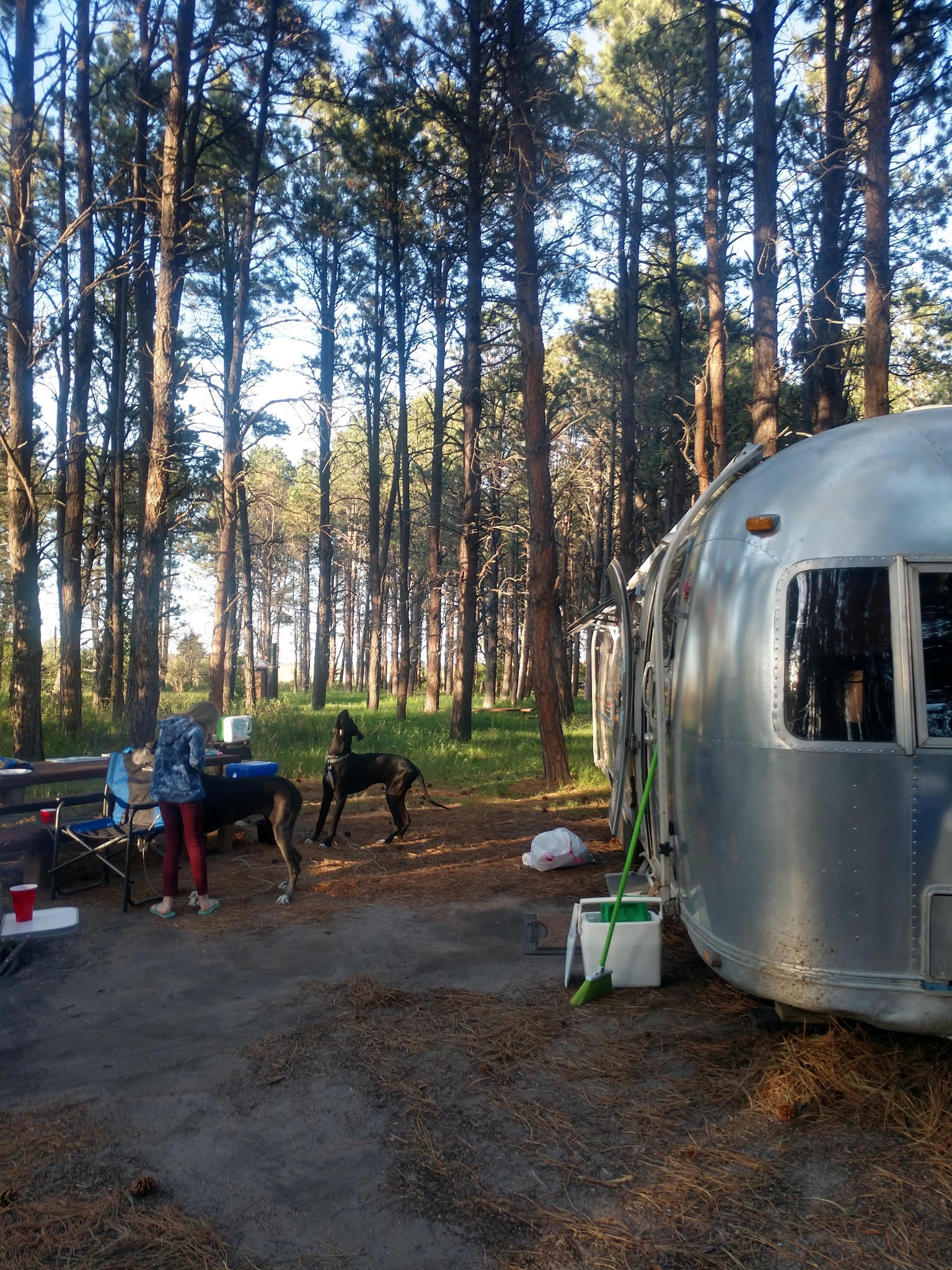 Steer Creek Campground