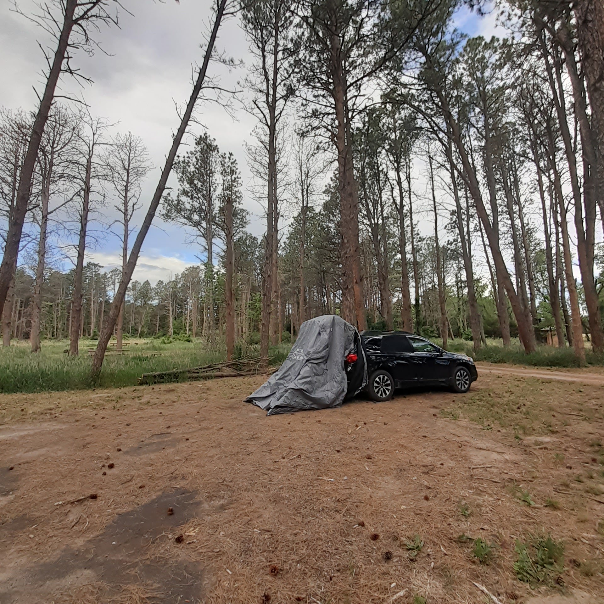 Steer Creek Campground